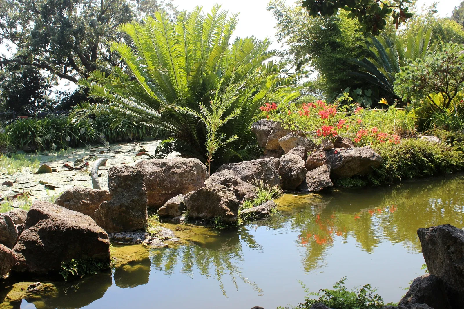 Giardini La Mortella - Fondazione William Walton