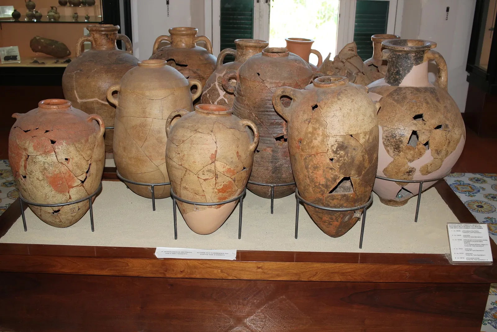 Archaeological Museum of Pithecusae