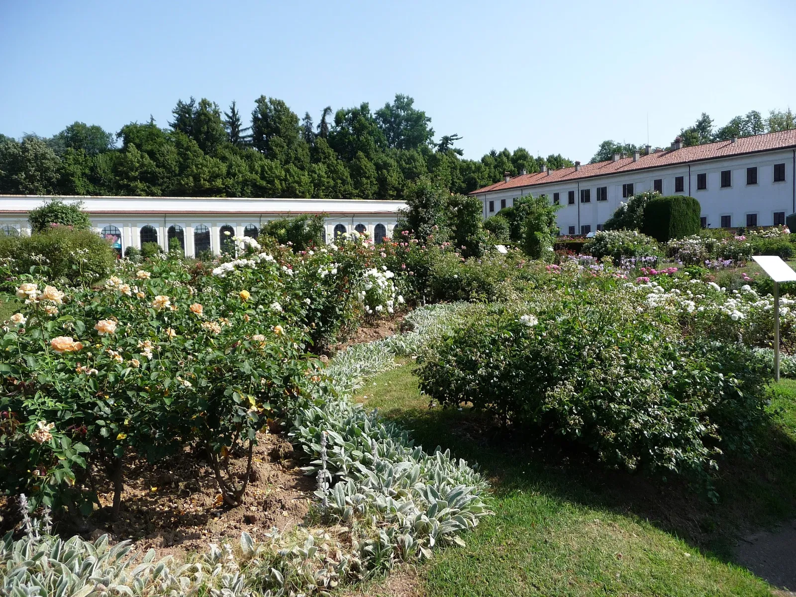 Niso Fumagalli Rose Garden