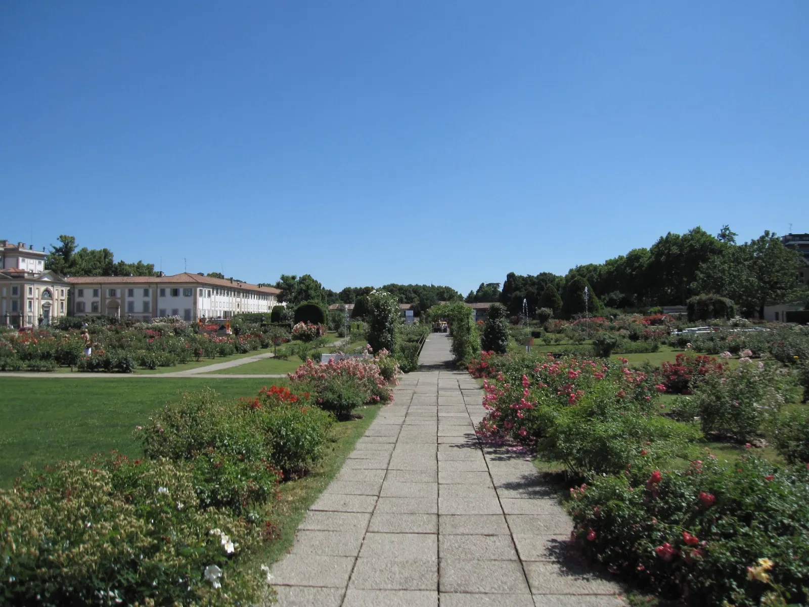 Roseto Niso Fumagalli