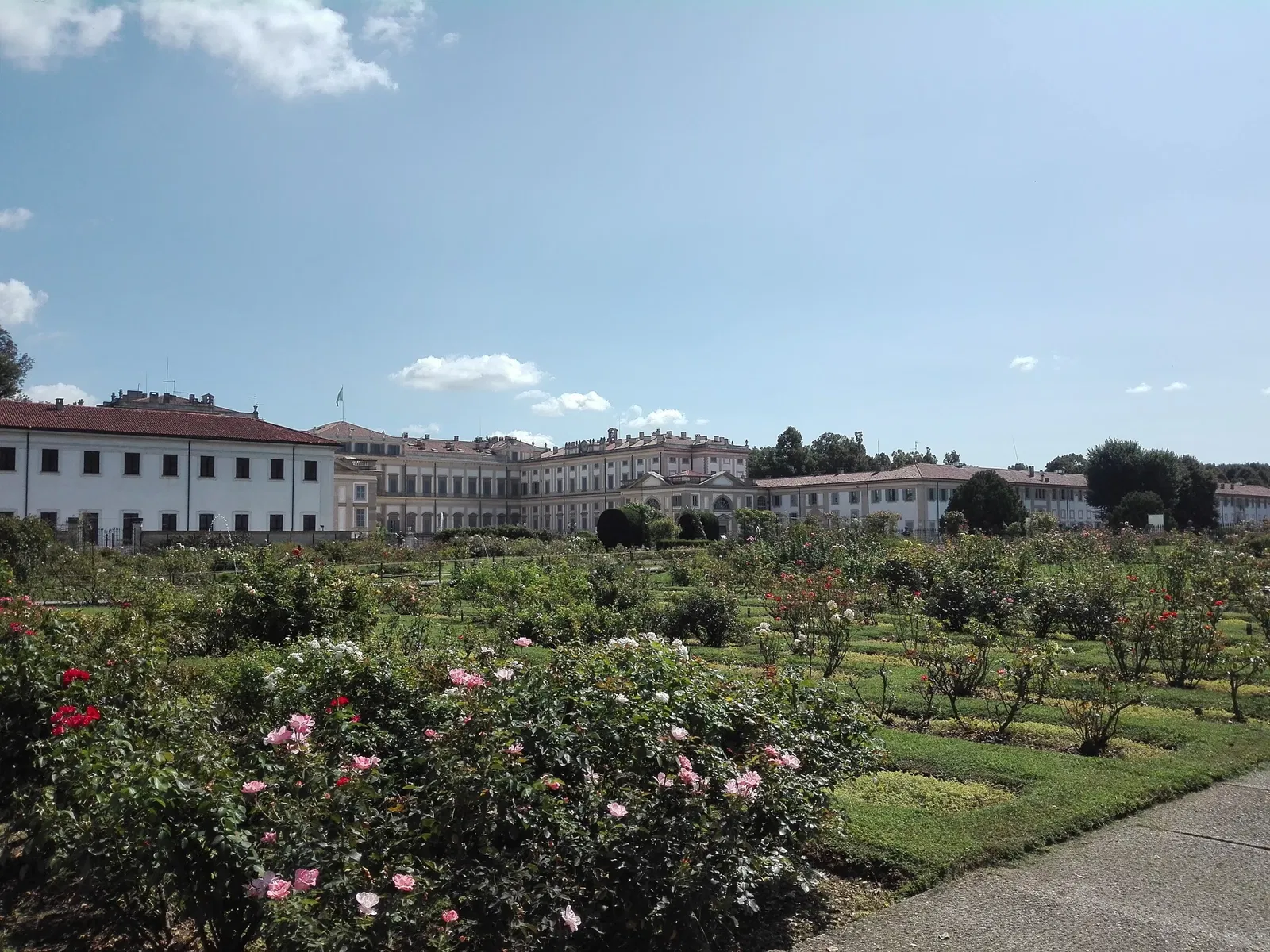 Roseto Niso Fumagalli