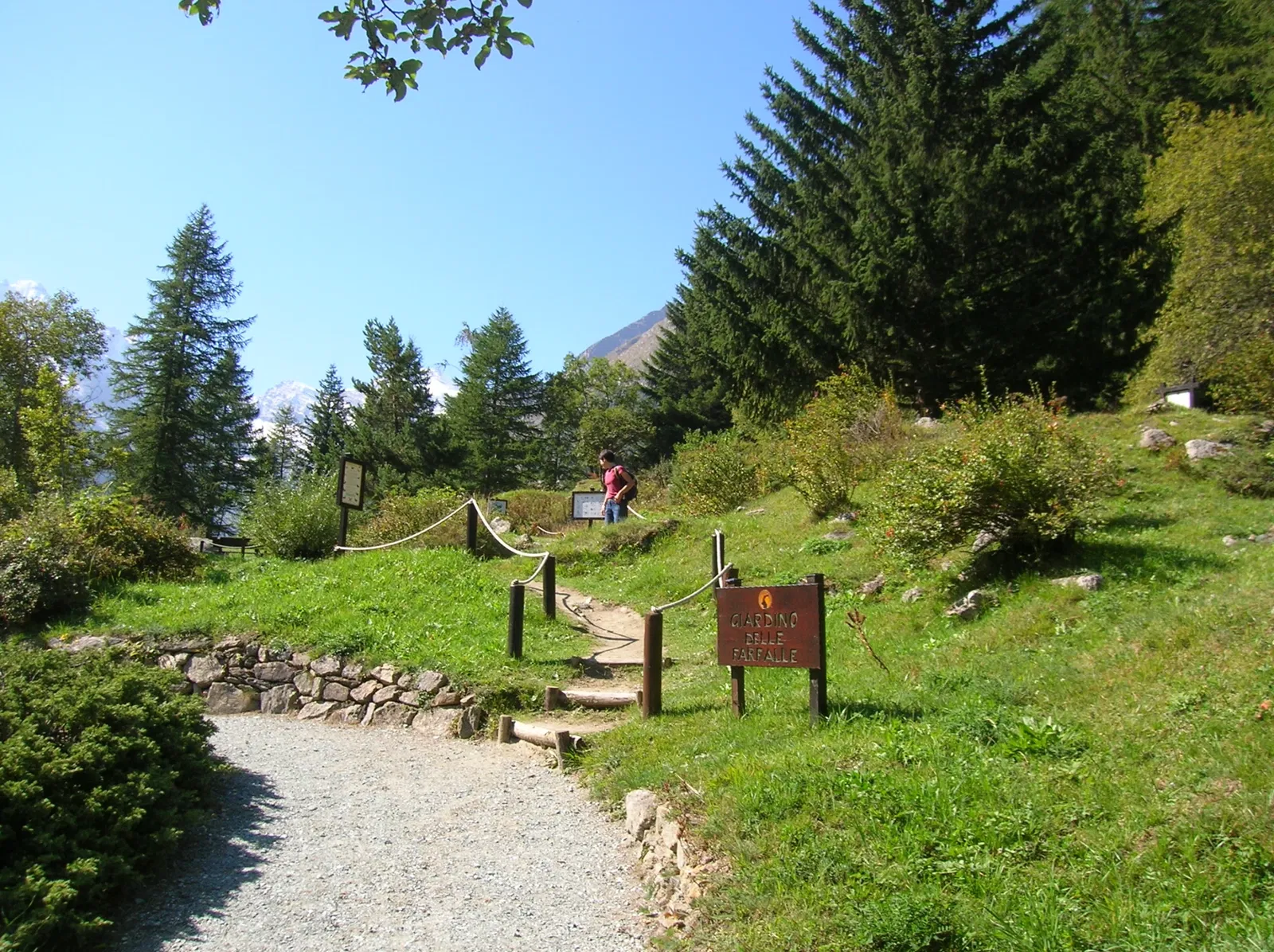 Paradisia Alpine Botanical Garden