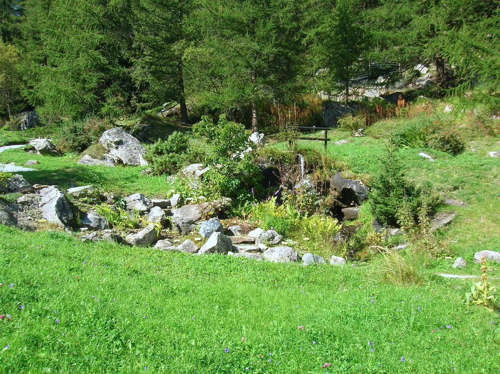 Paradisia Alpine Botanical Garden