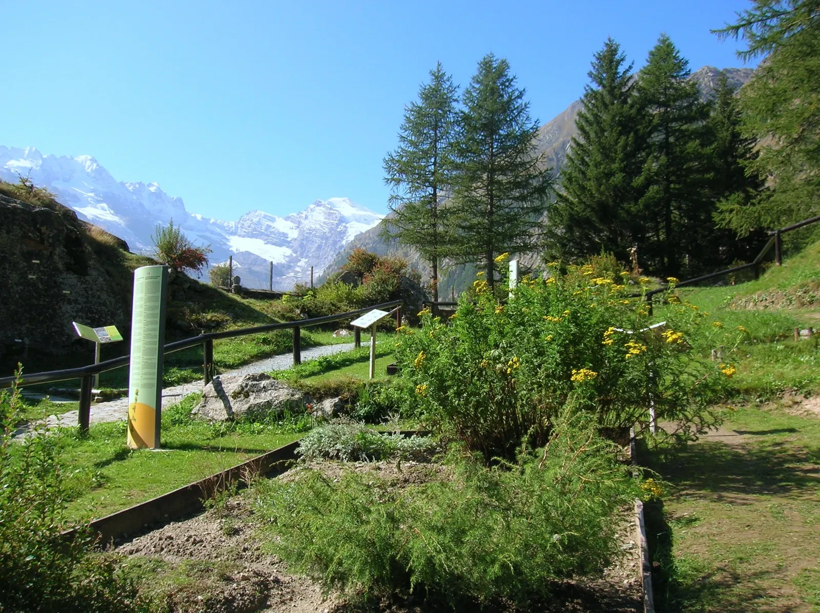 Giardino Botanico Alpino Paradisia