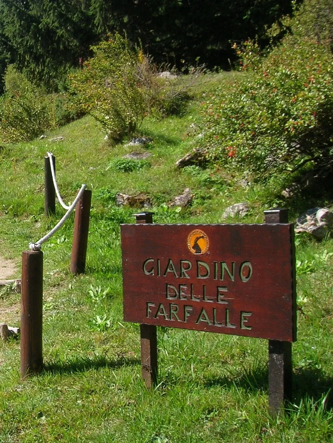 Paradisia Alpine Botanical Garden