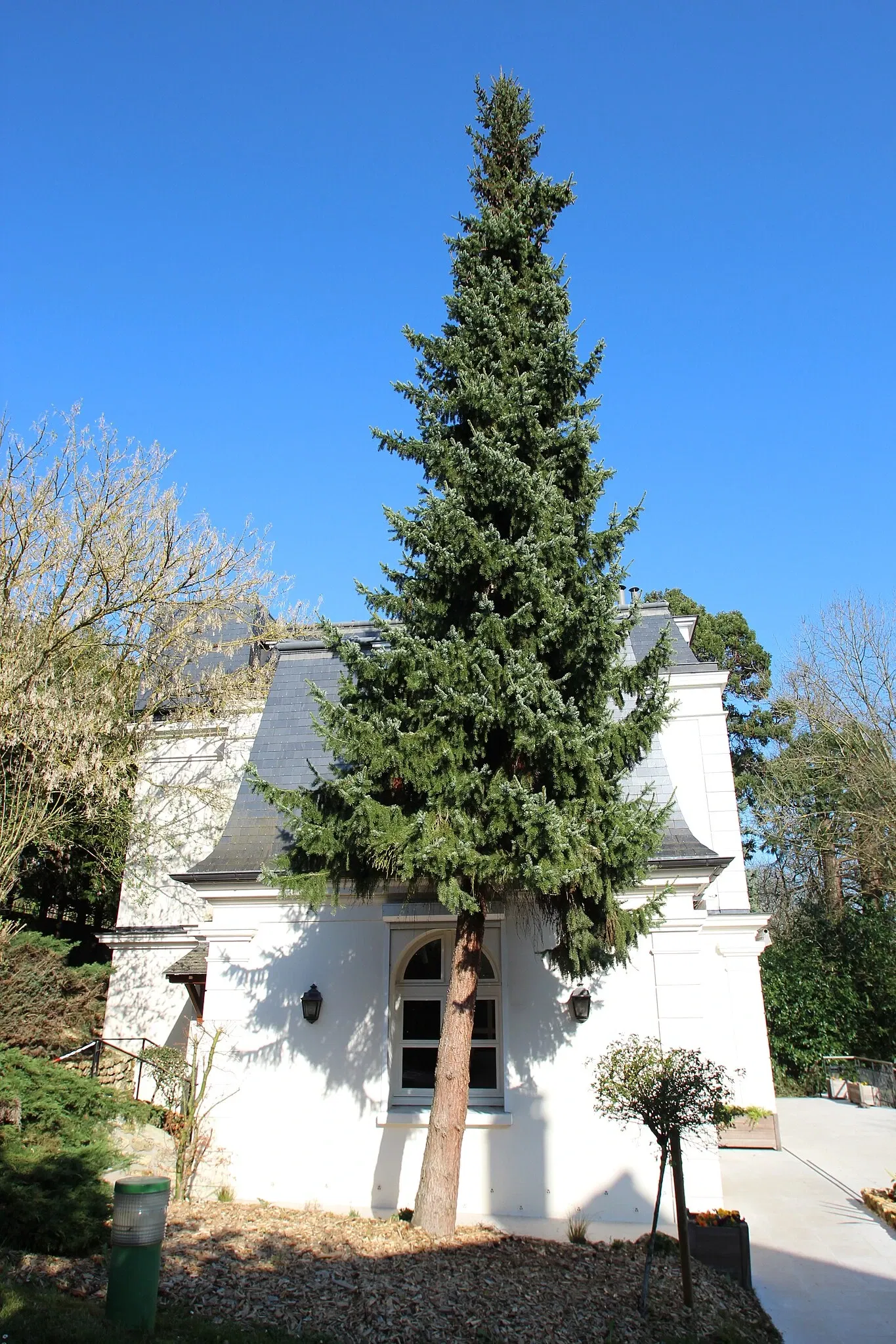 Fondation Raymond Devos