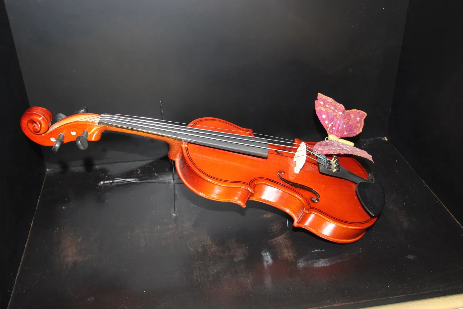 Fondation Raymond Devos