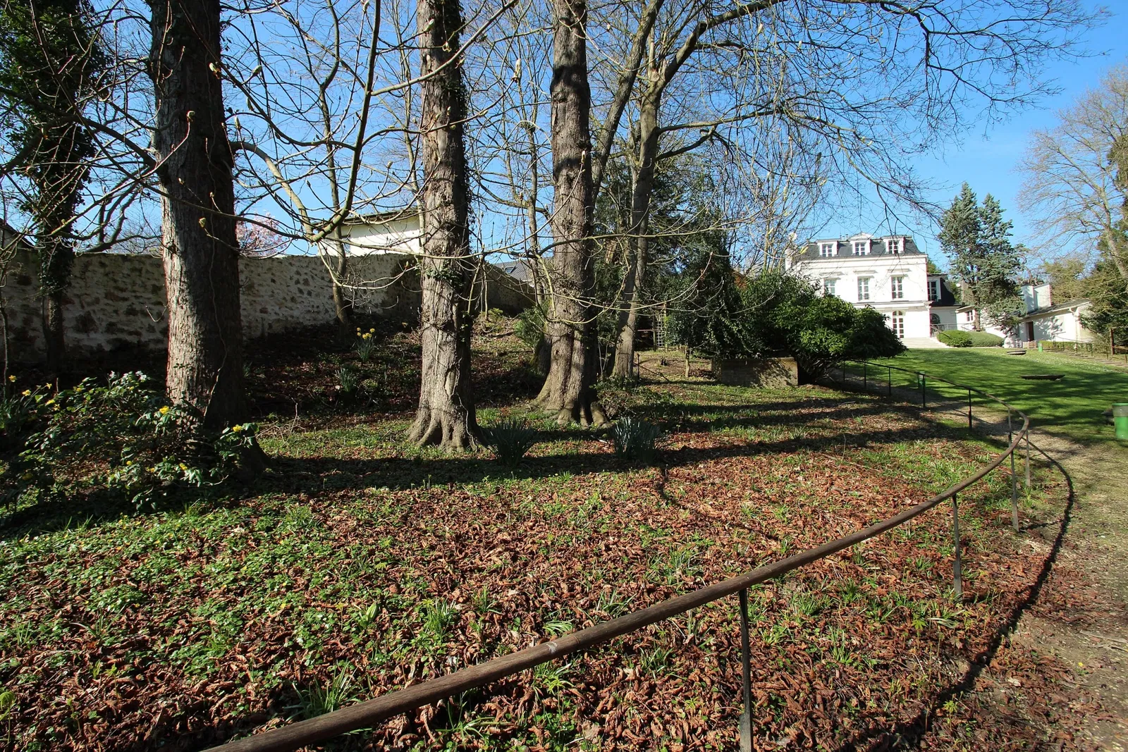 Raymond Devos Foundation