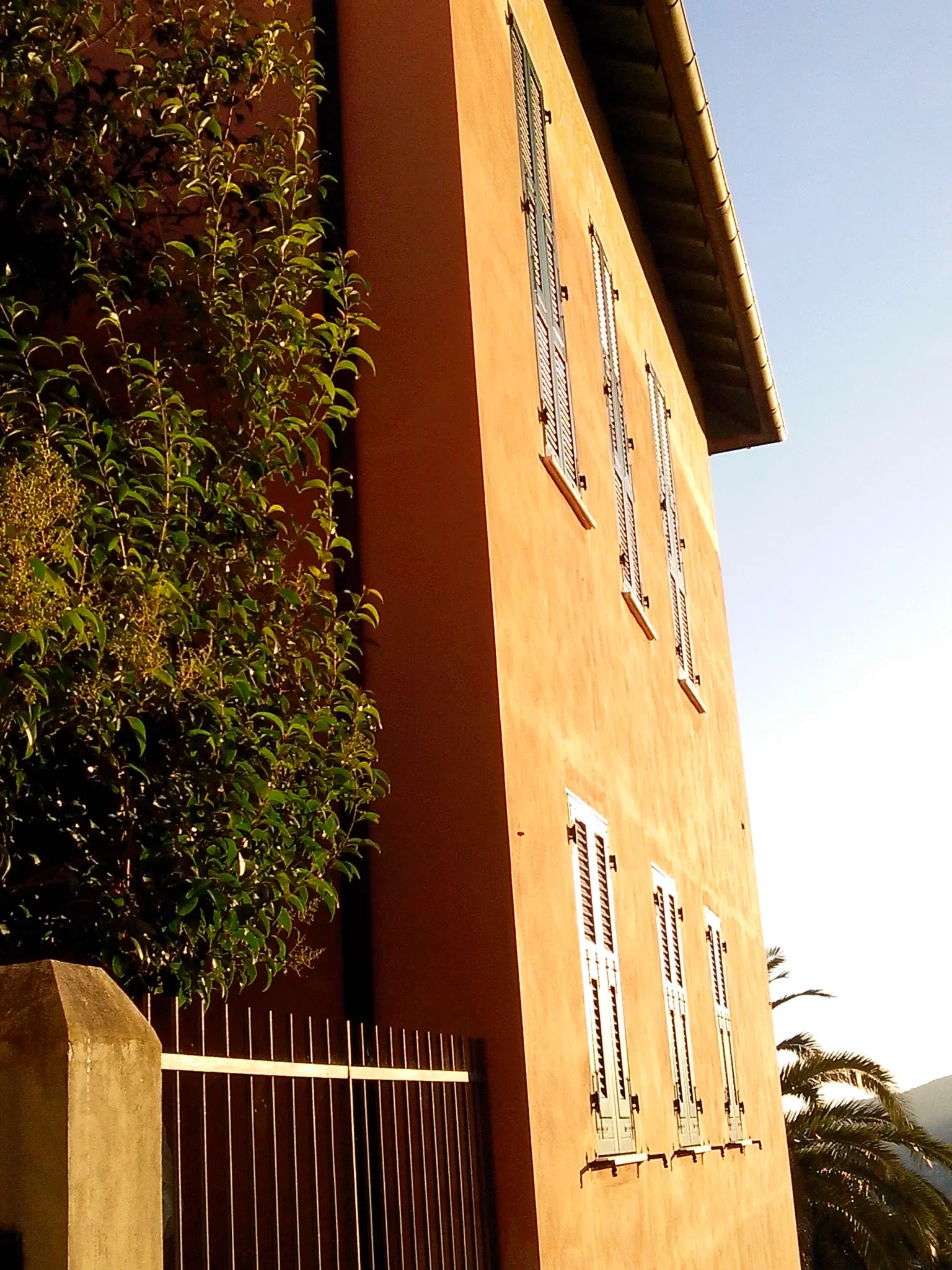 Pinacoteca Rambaldi – Museo di Villa Luca