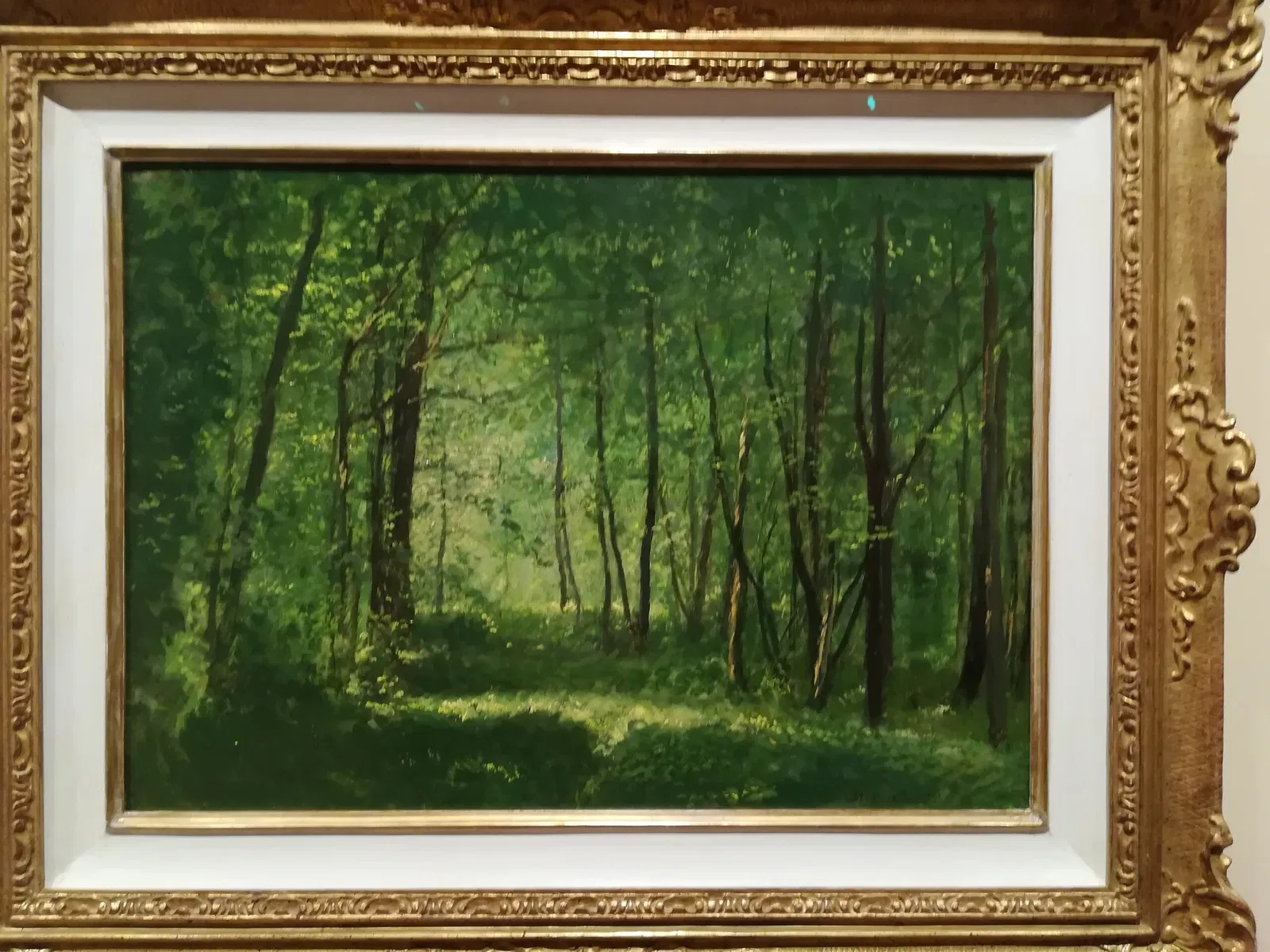 Museo del Territorio Biellese