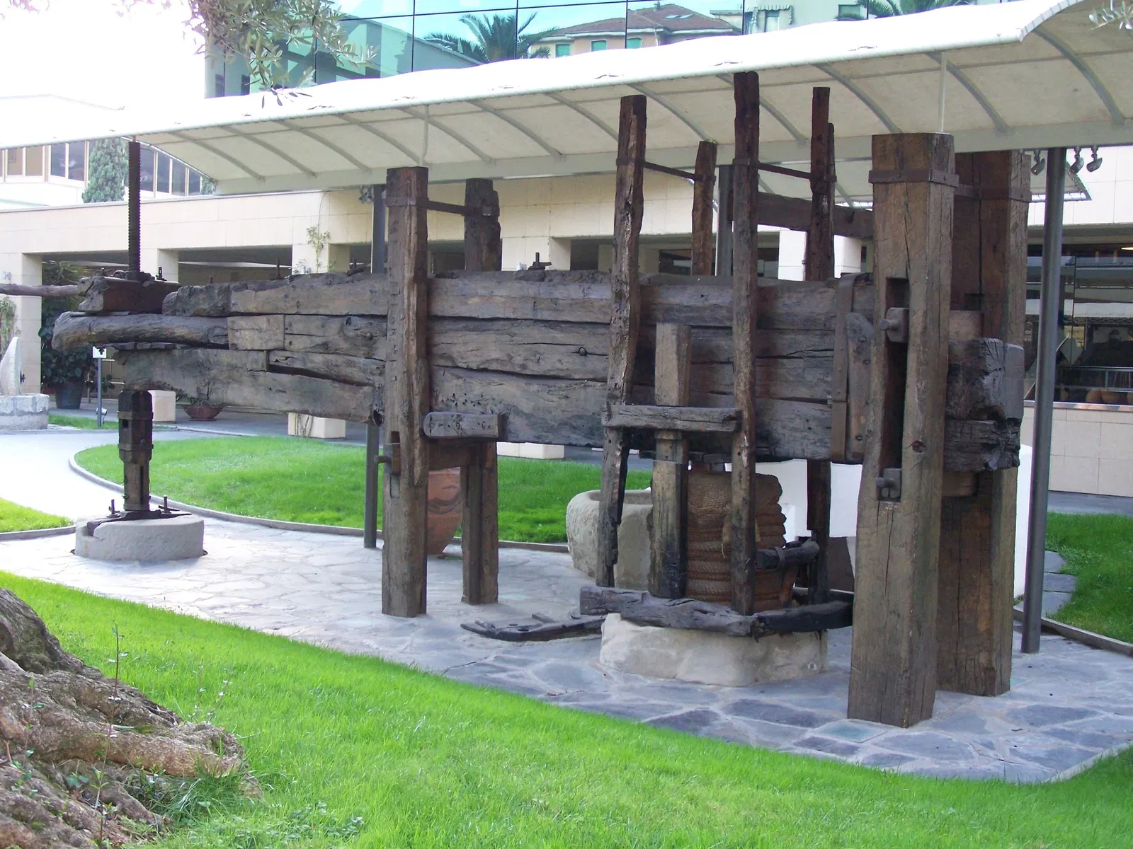 Museo dell'Olivo Carlo Carli