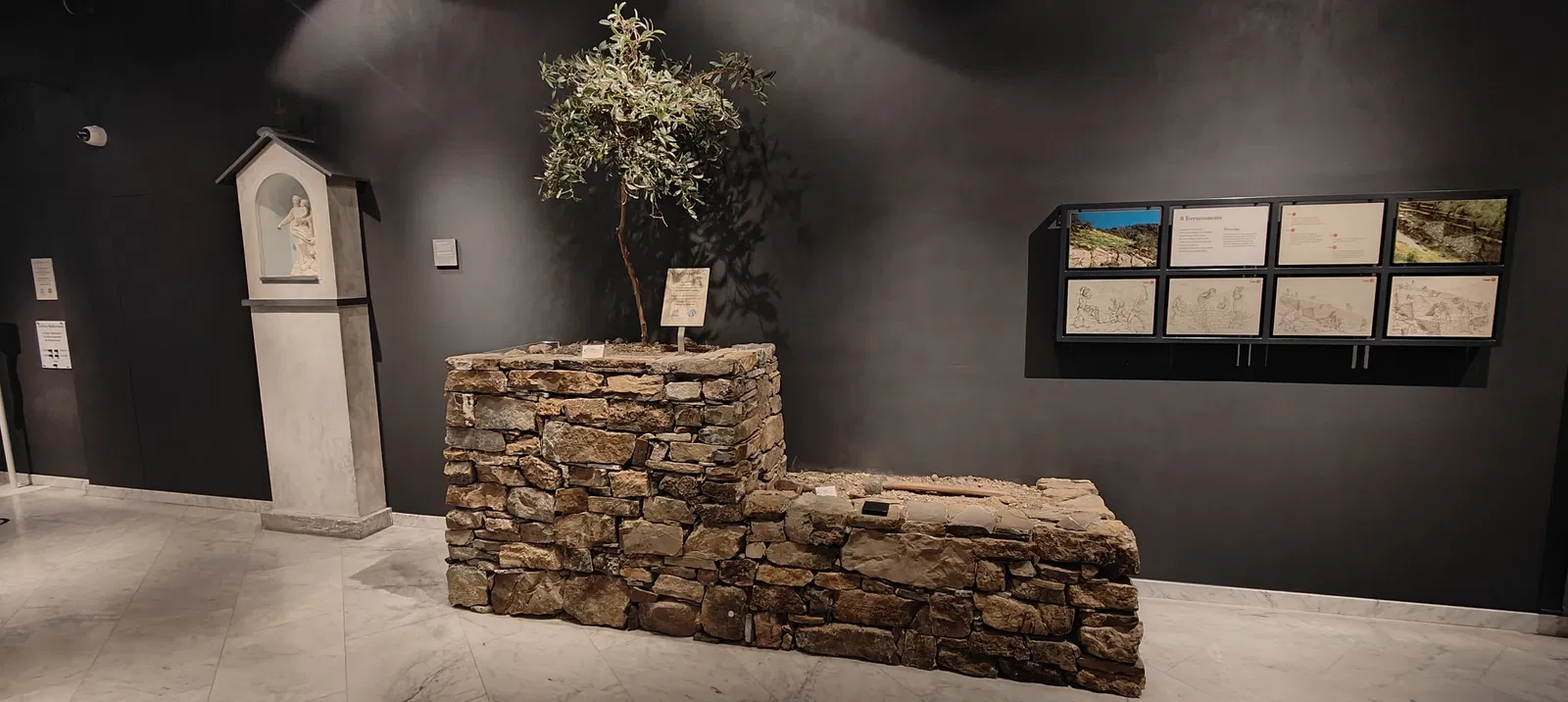 Museo dell'Olivo Carlo Carli