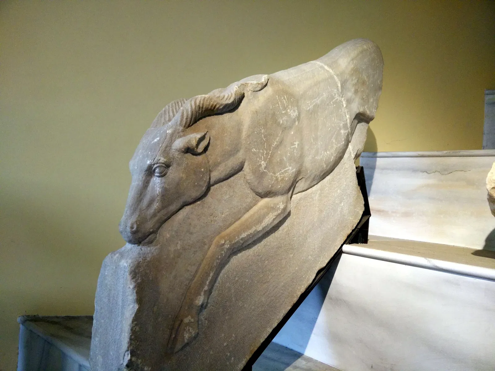 Museo dei Gladiatori