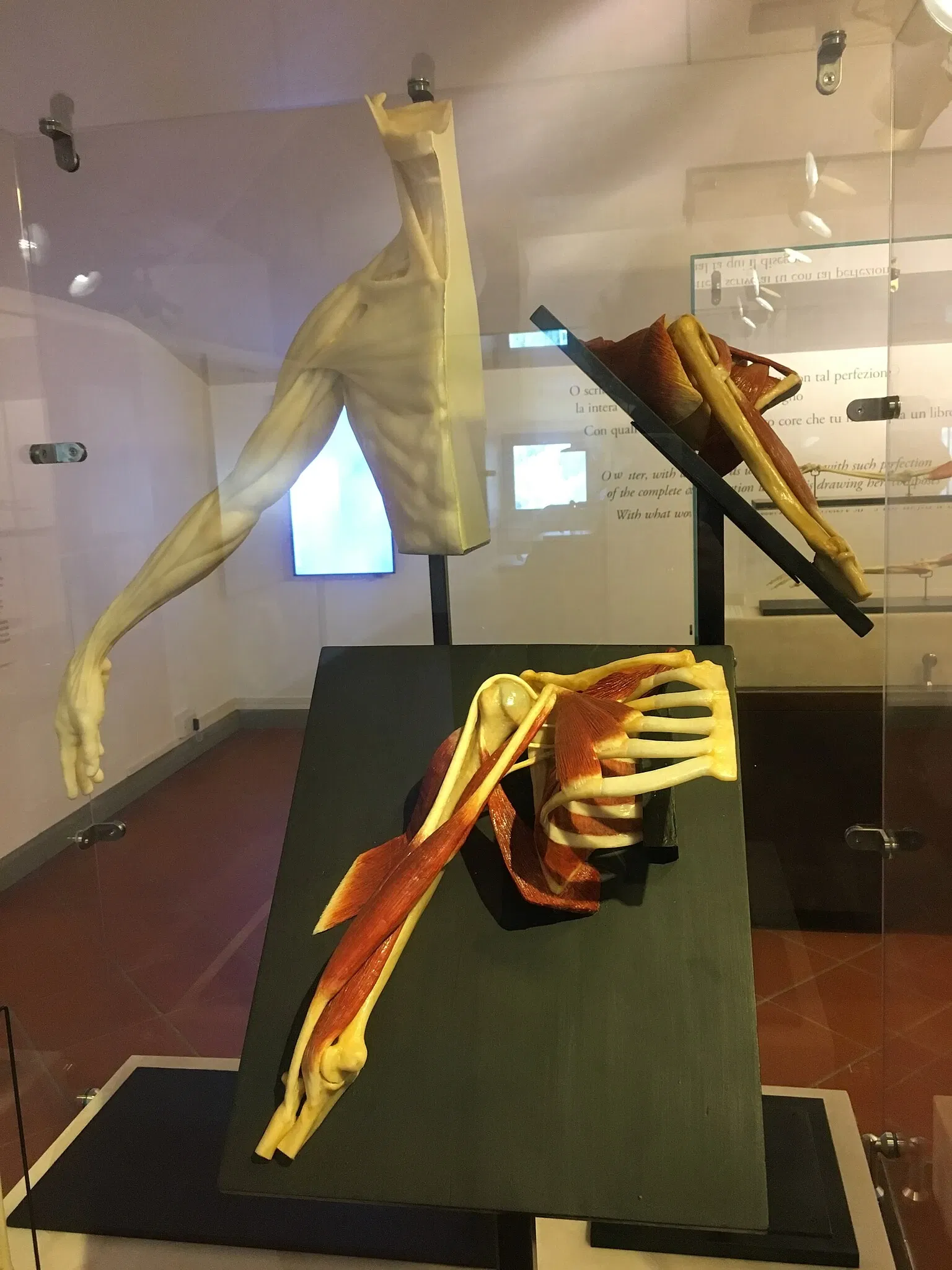 Museo Leonardiano di Vinci