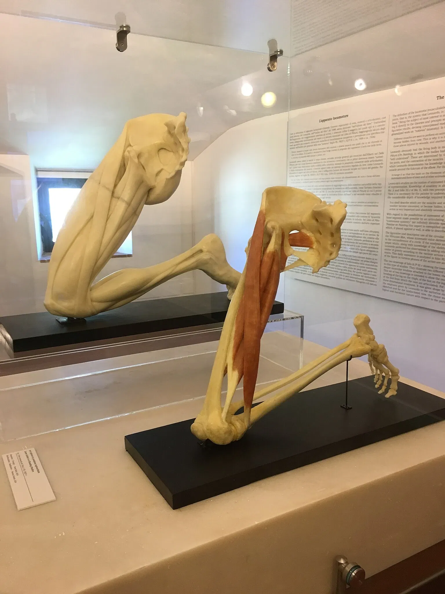 Museo Leonardiano di Vinci