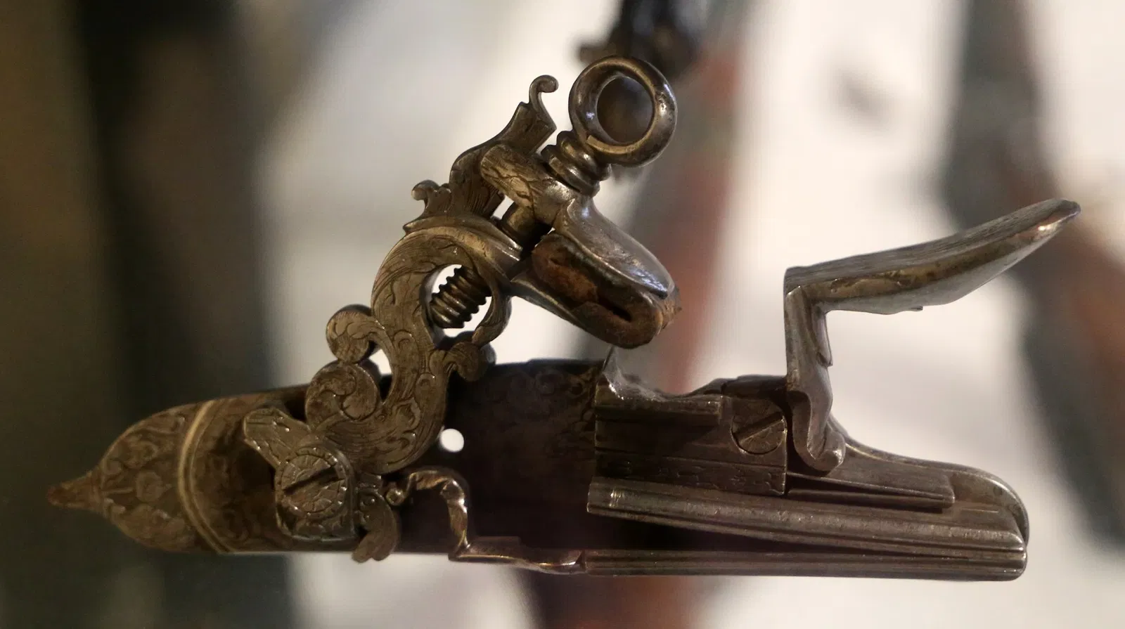 Museo di Palazzo Taglieschi