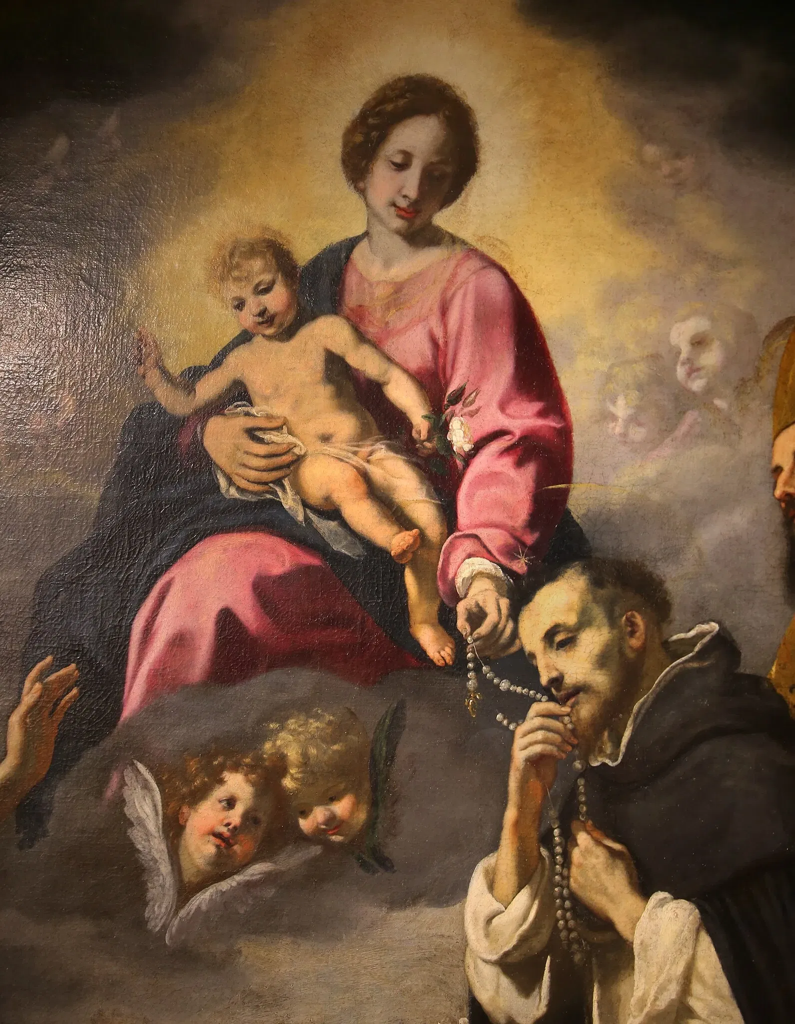 Museo di Palazzo Taglieschi