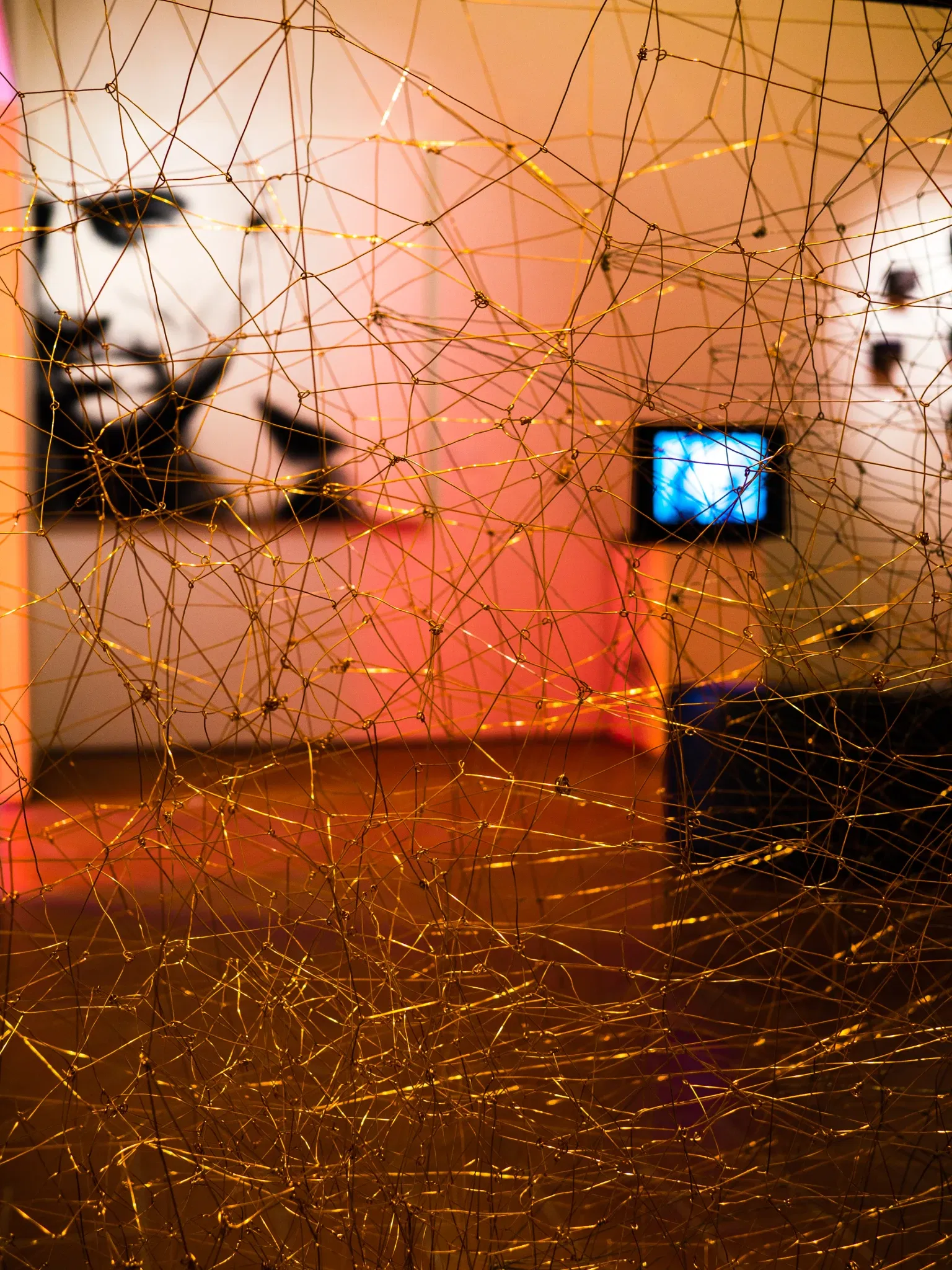 Museo Archeologico Claudia Giontella