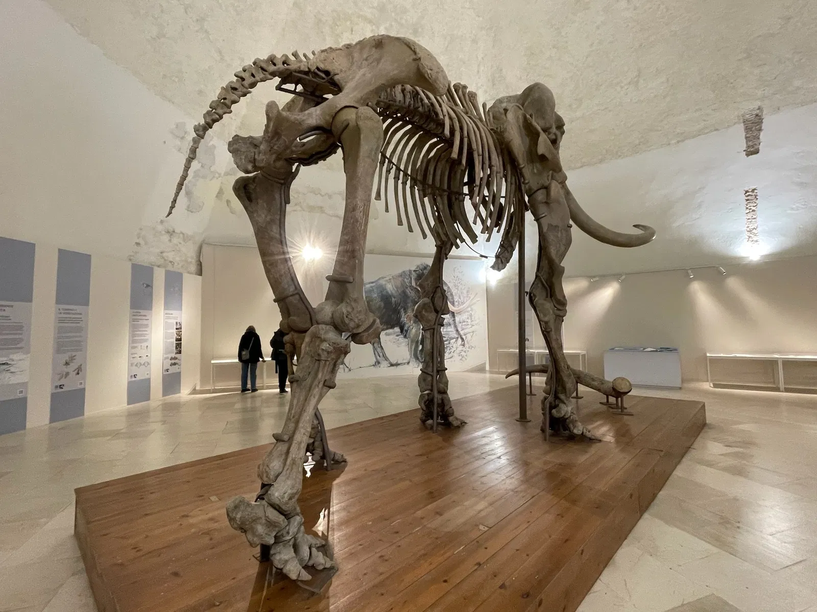 MuNDA - Museo Nazionale d'Abruzzo