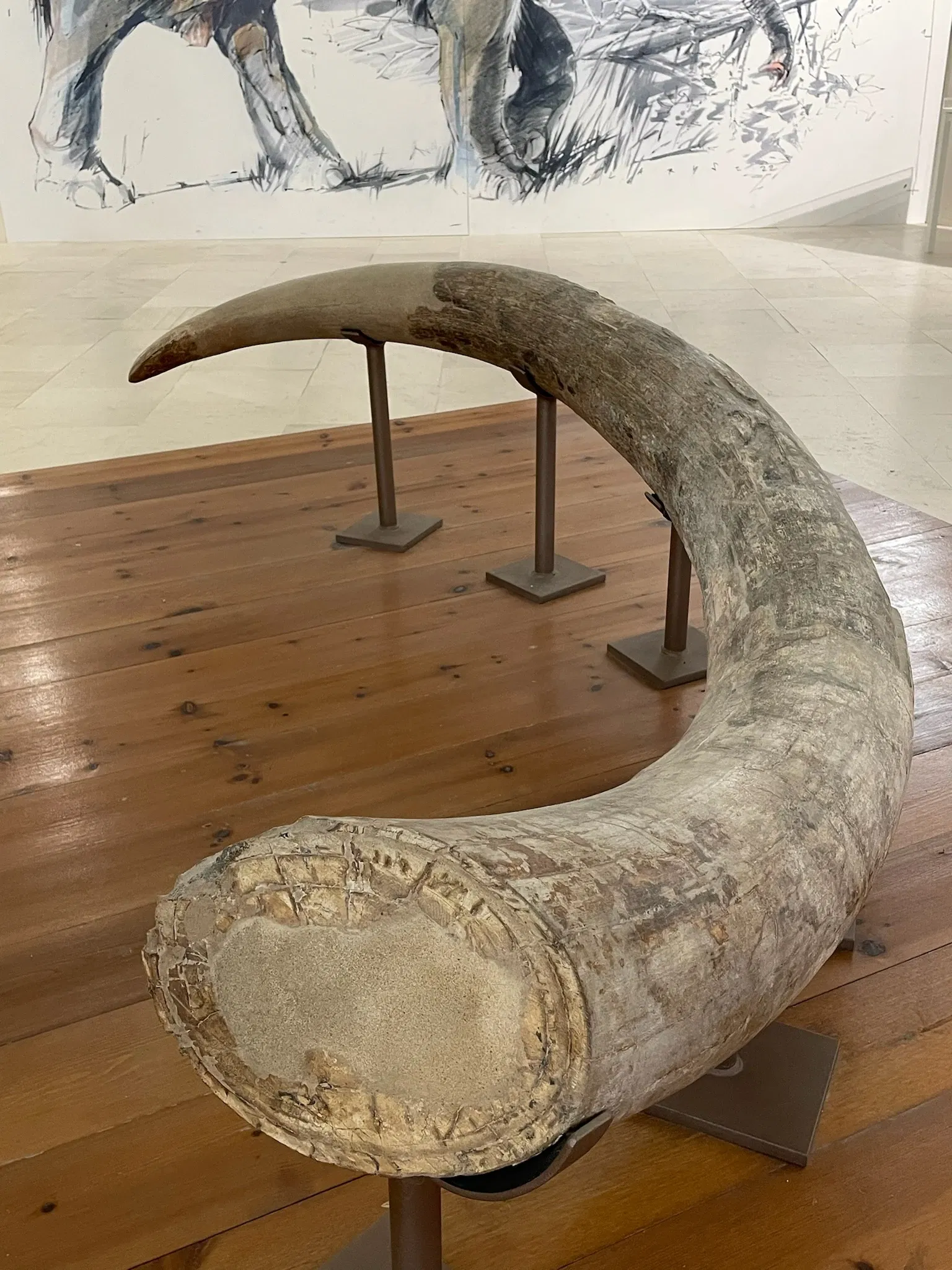 MuNDA - Museo Nazionale d'Abruzzo