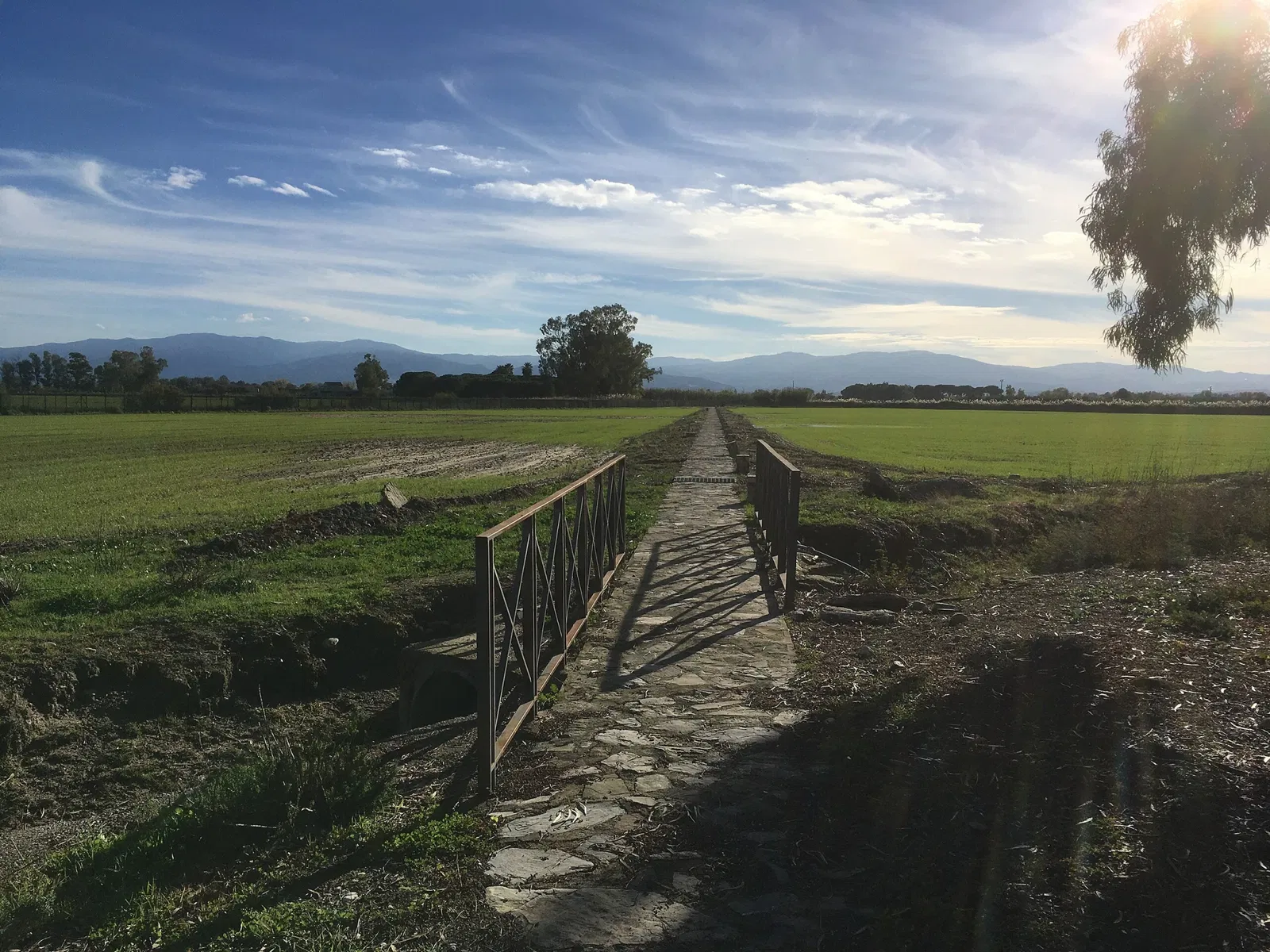 National Archeological Museum of Sibaritide