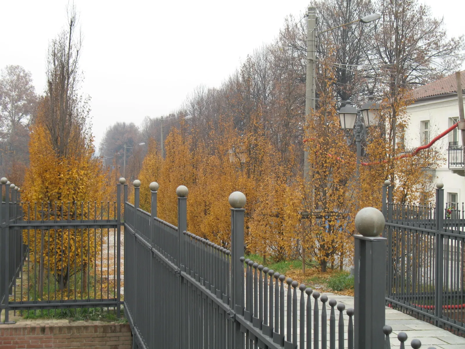 Reggia di Venaria Reale