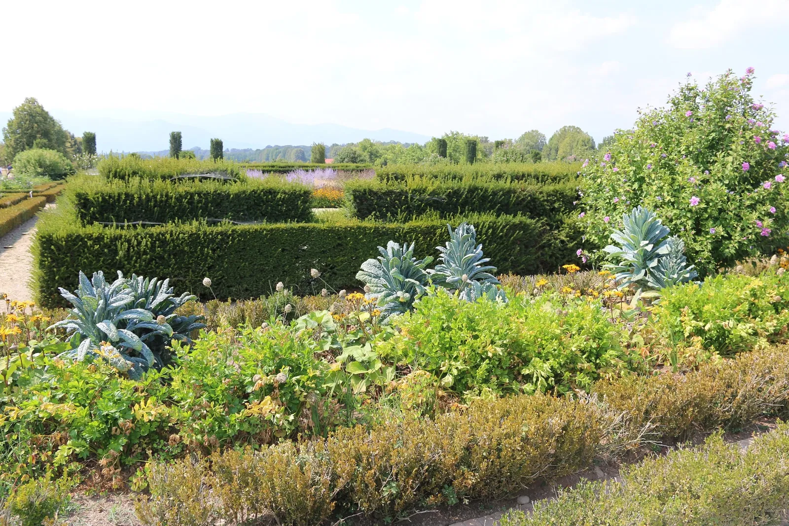 Reggia di Venaria Reale
