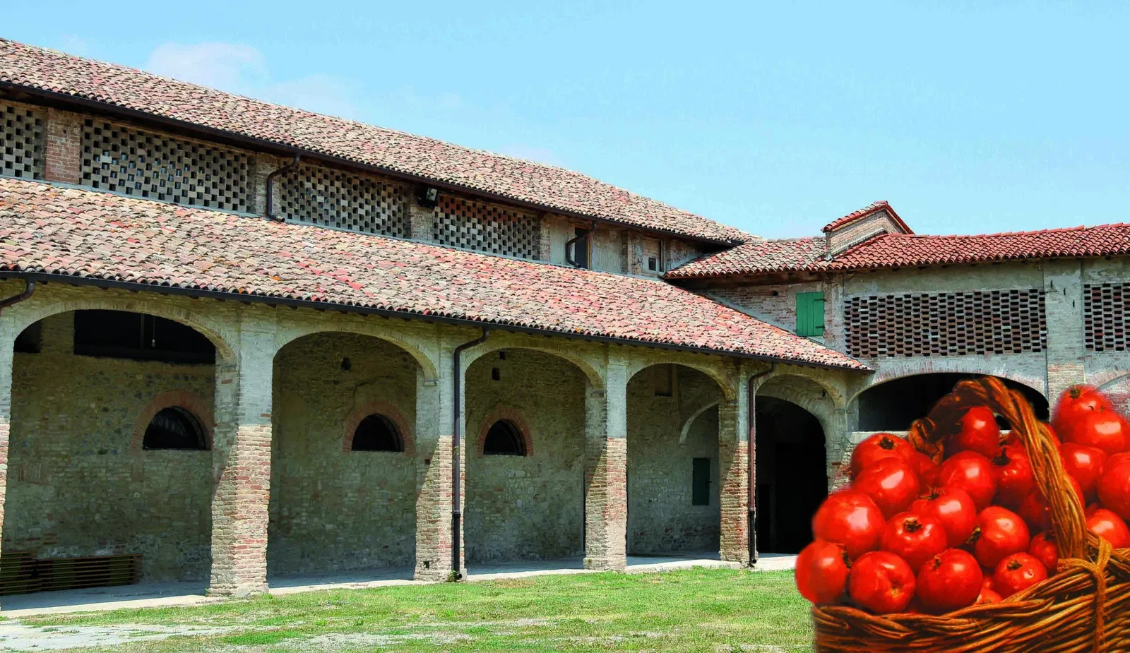 Museum of Tomato
