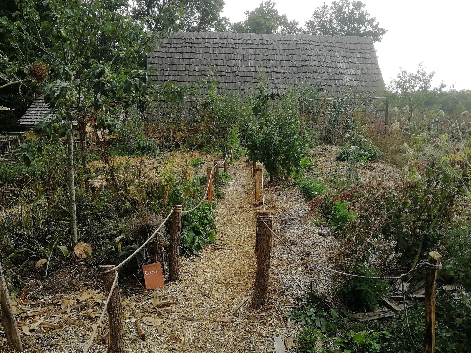 Château de Guédelon