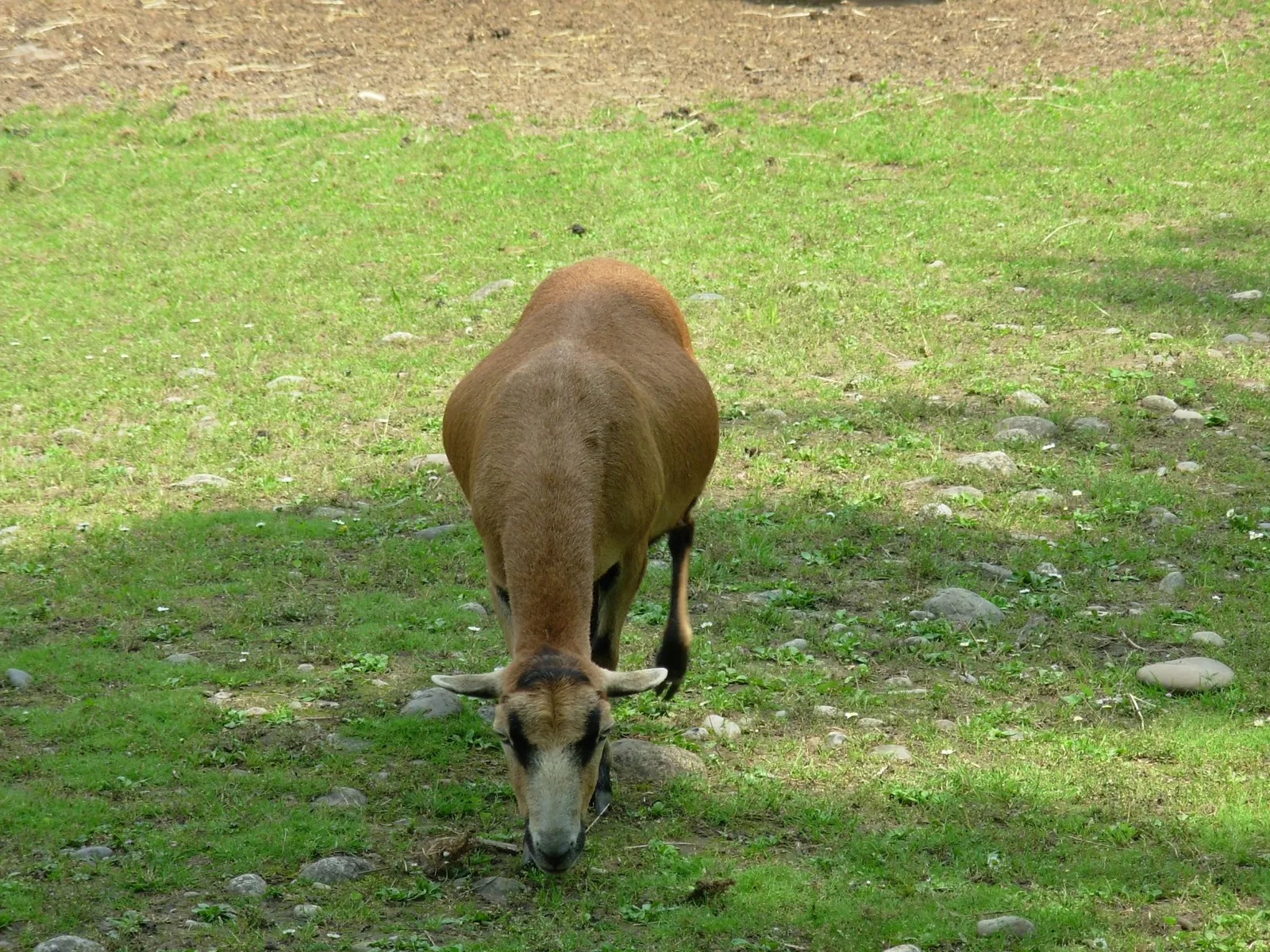 Parco Della Preistoria