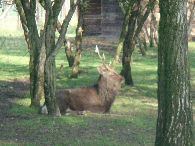 Parco Della Preistoria