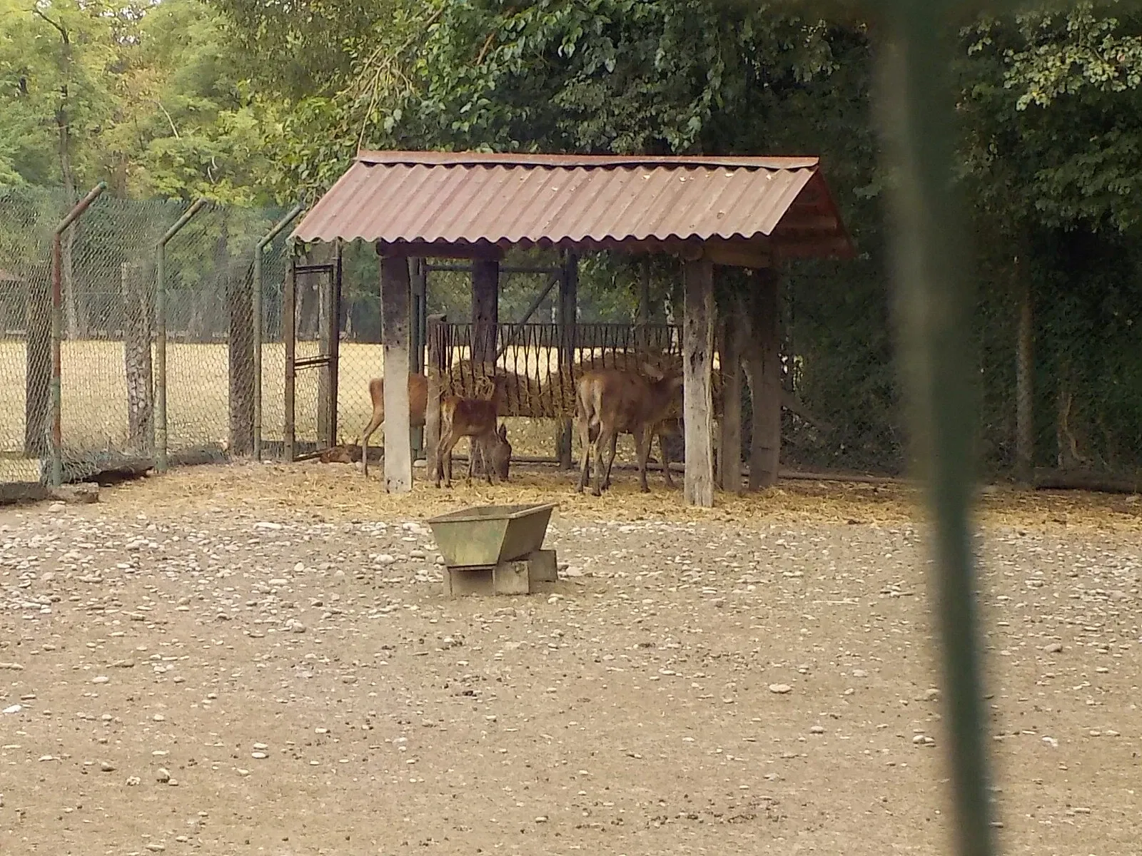 Parco Della Preistoria