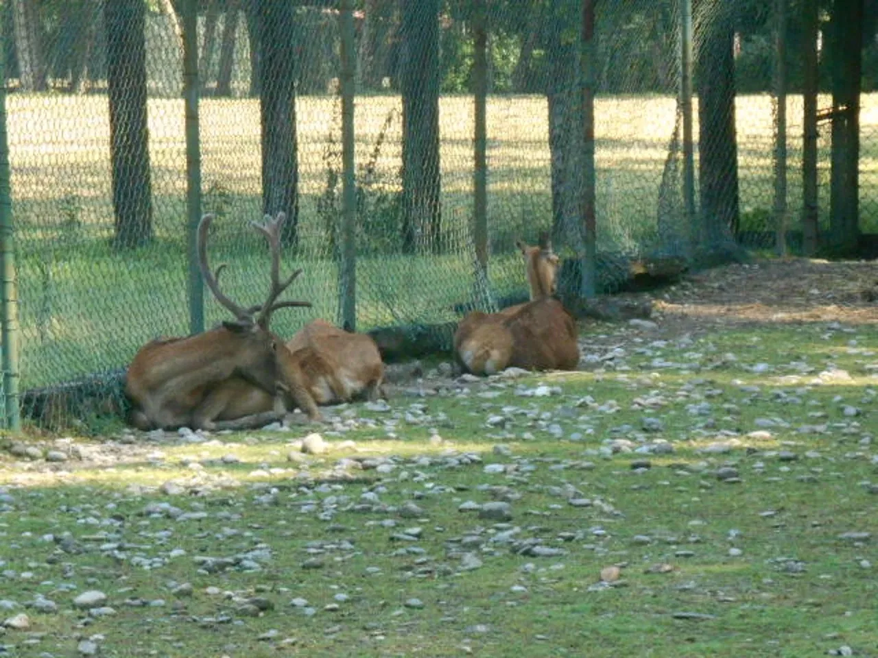 Parco Della Preistoria