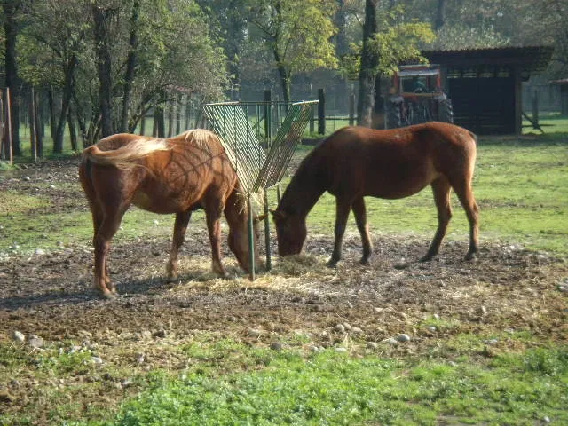 Parco Della Preistoria