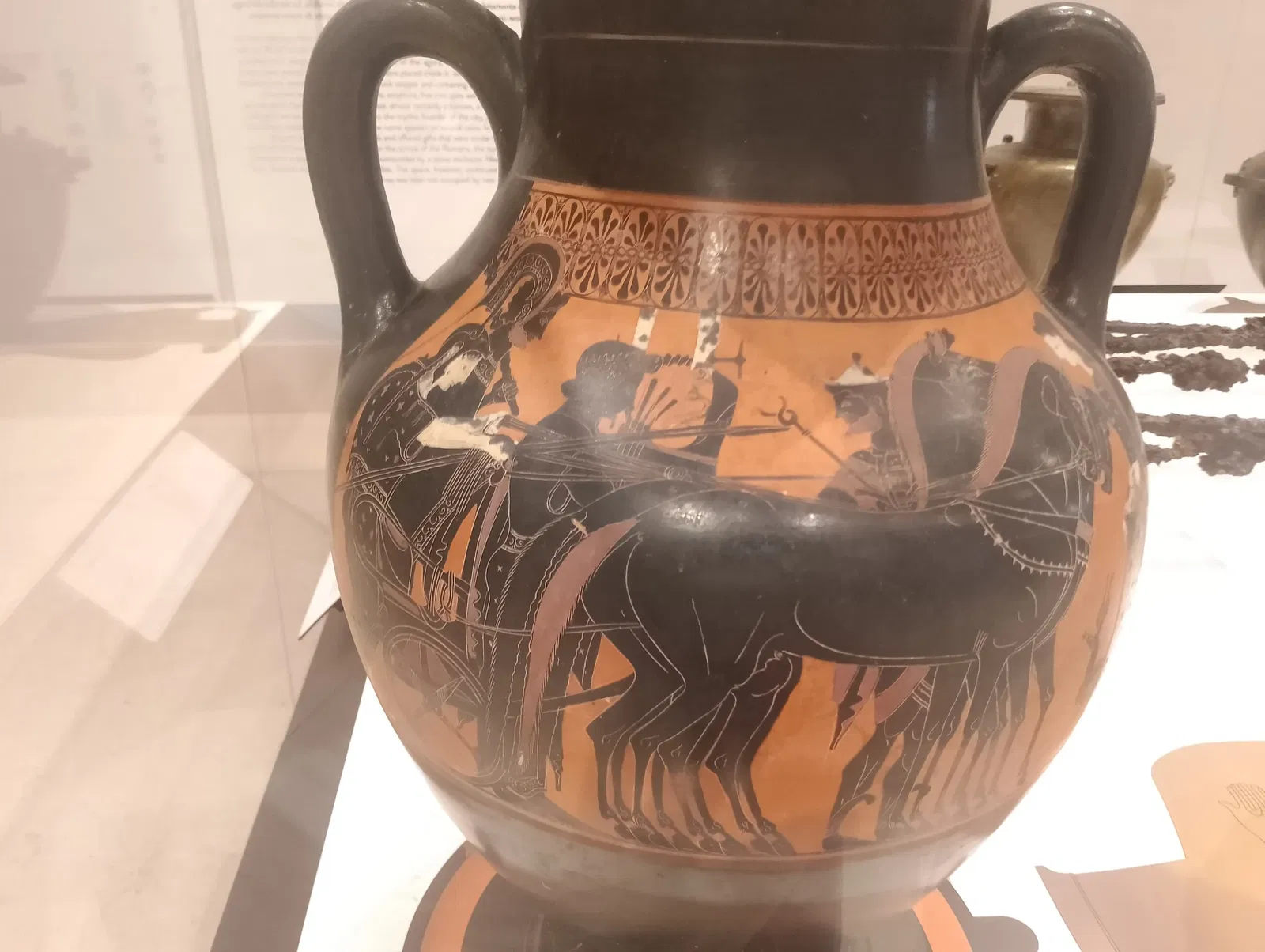 National Archaeological Museum of Paestum