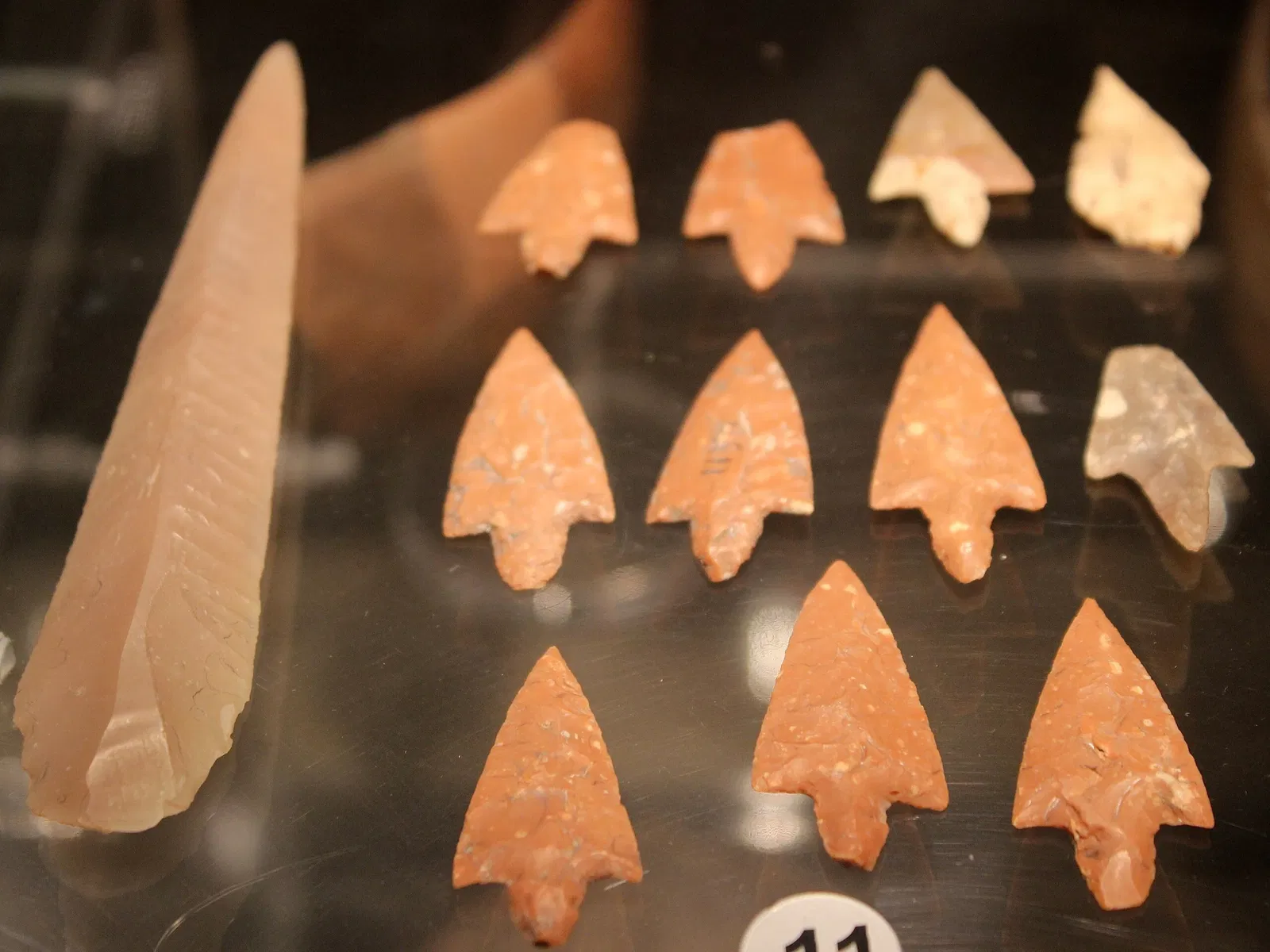 Museo Archeologico Nazionale di Paestum