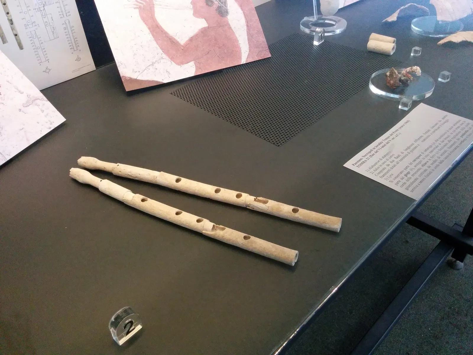 National Archaeological Museum of Paestum