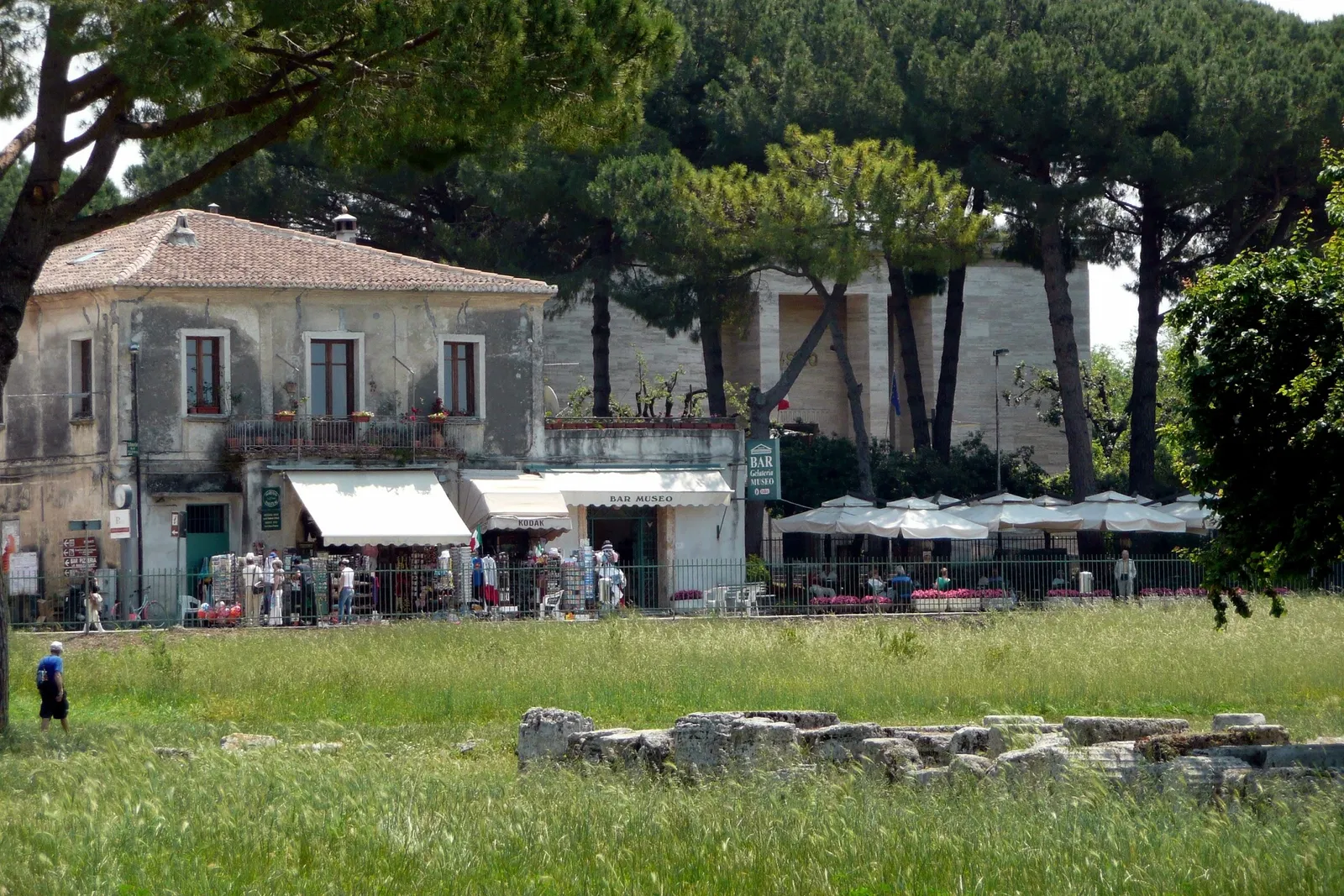 National Archaeological Museum of Paestum