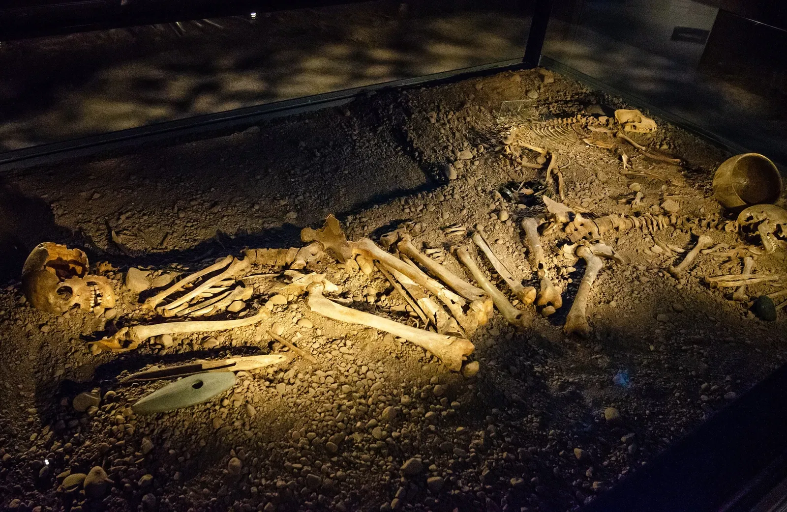 Museum of Östergötland