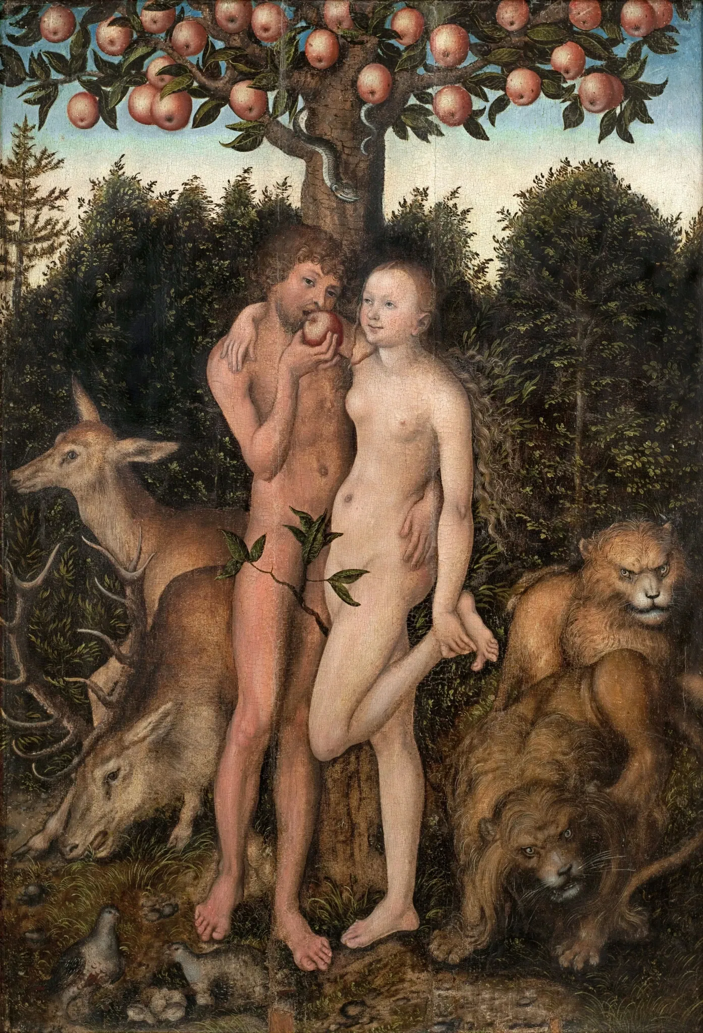 Museum of Östergötland