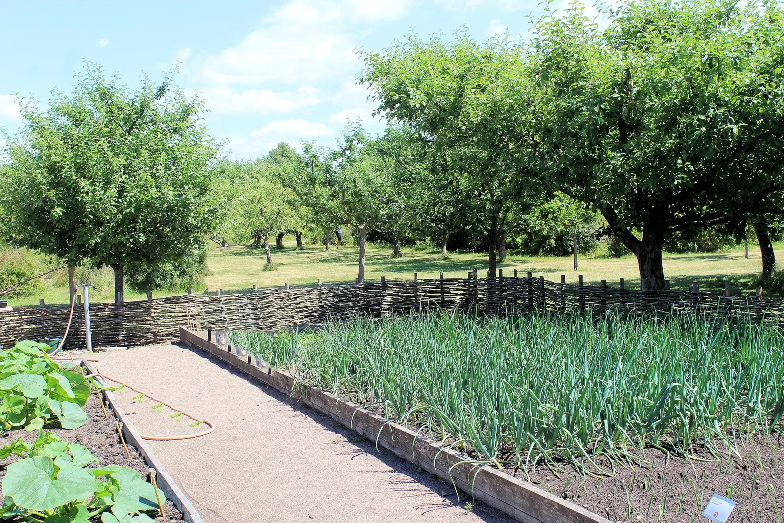 Fredriksdal - Museer och trädgårdar