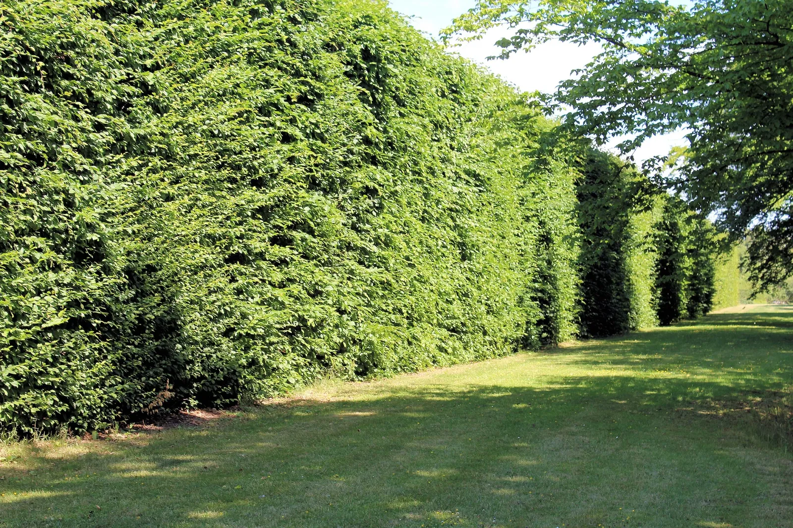 Fredriksdal - Museer och trädgårdar