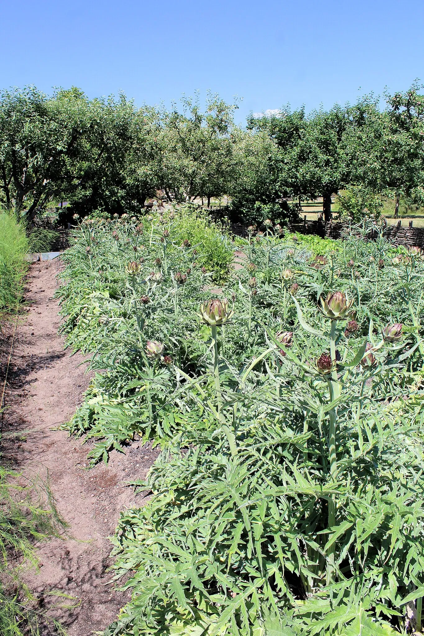 Fredriksdal - Museer och trädgårdar
