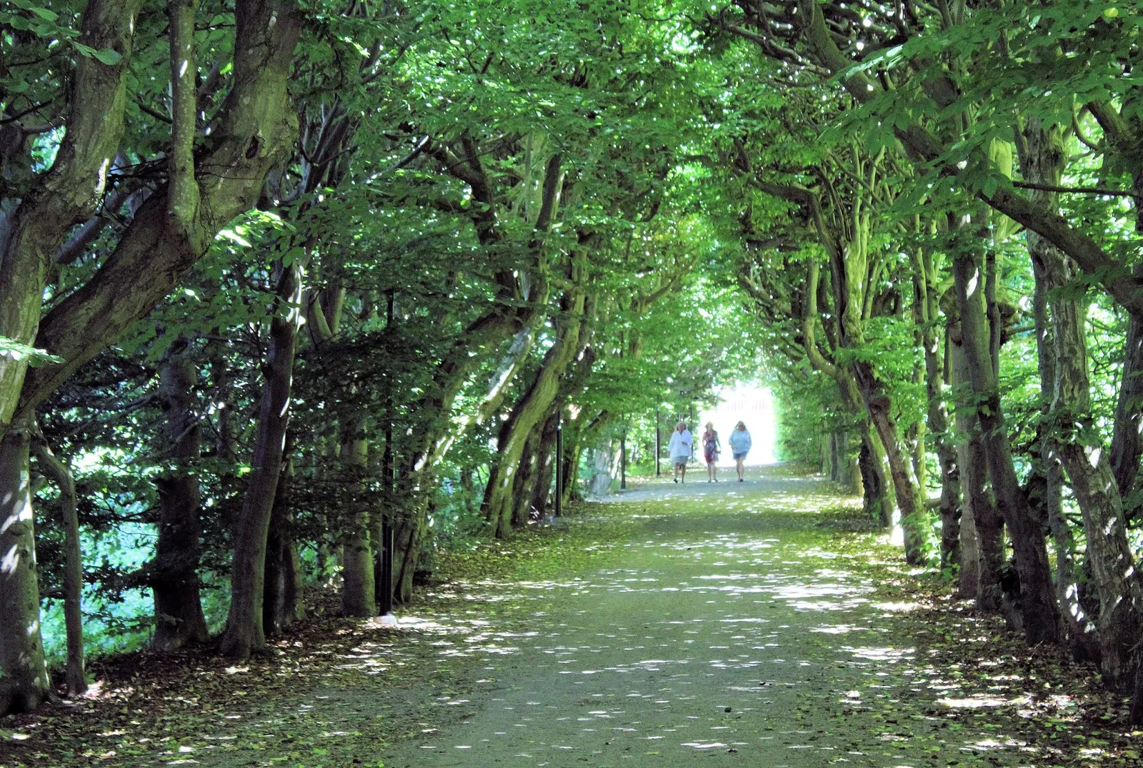 Fredriksdal - Museer och trädgårdar