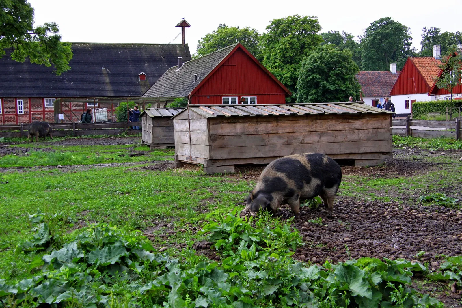 Fredriksdal - Museer och trädgårdar