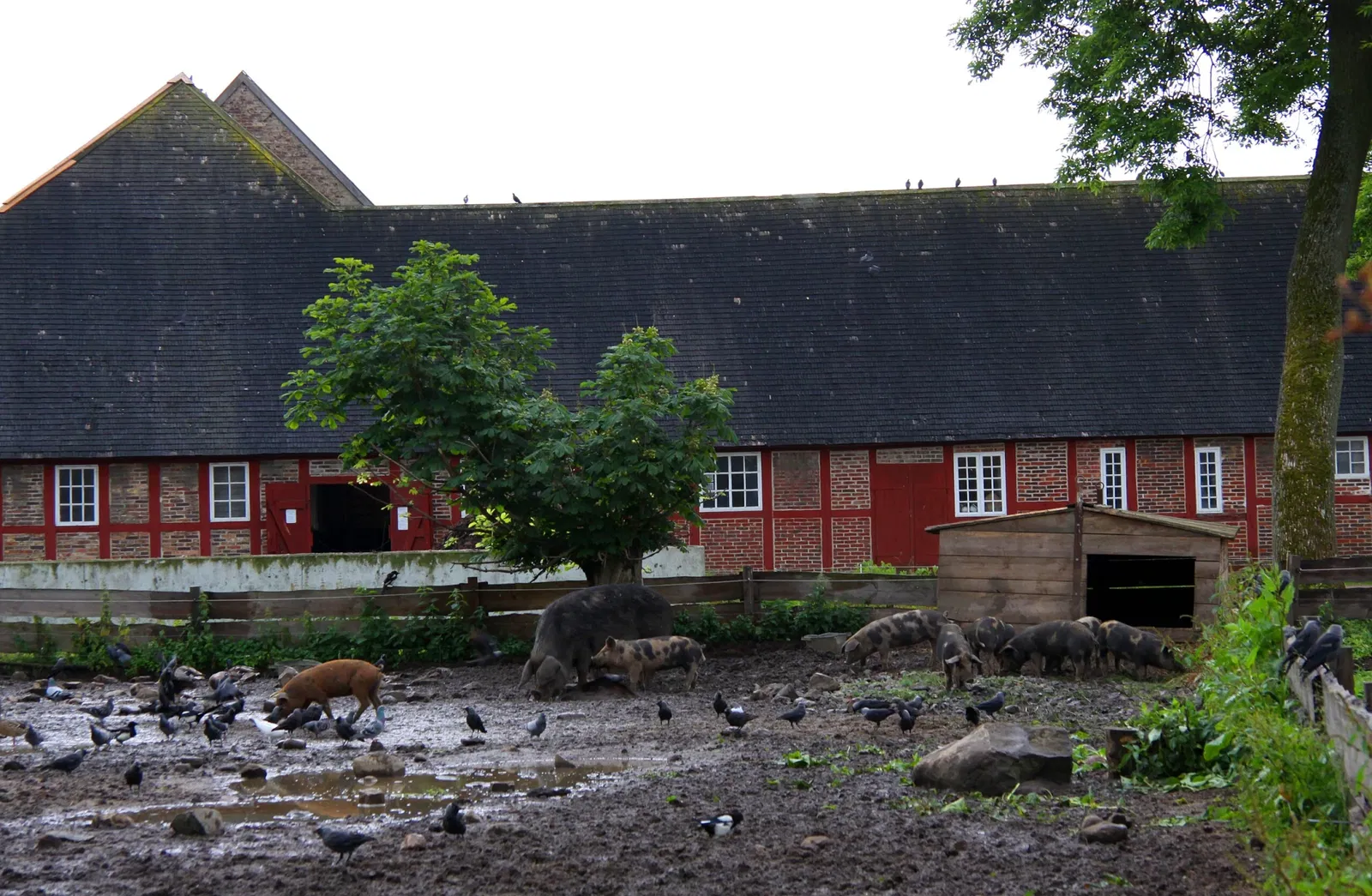 Fredriksdal - Museer och trädgårdar