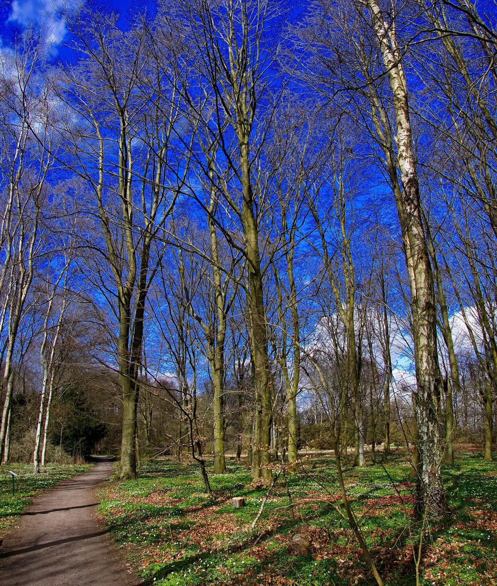 Fredriksdal - Museer och trädgårdar