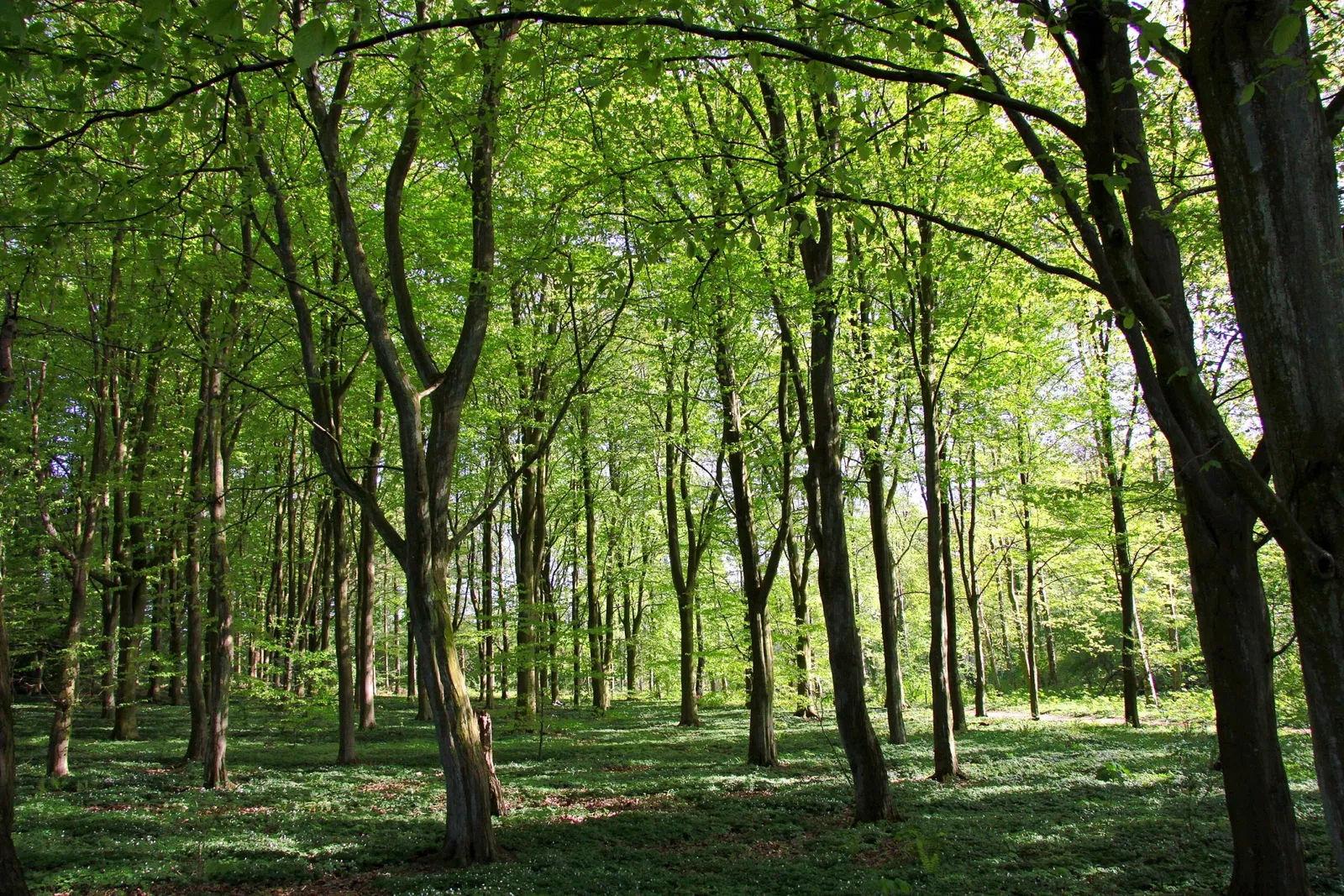 Fredriksdal - Museer och trädgårdar