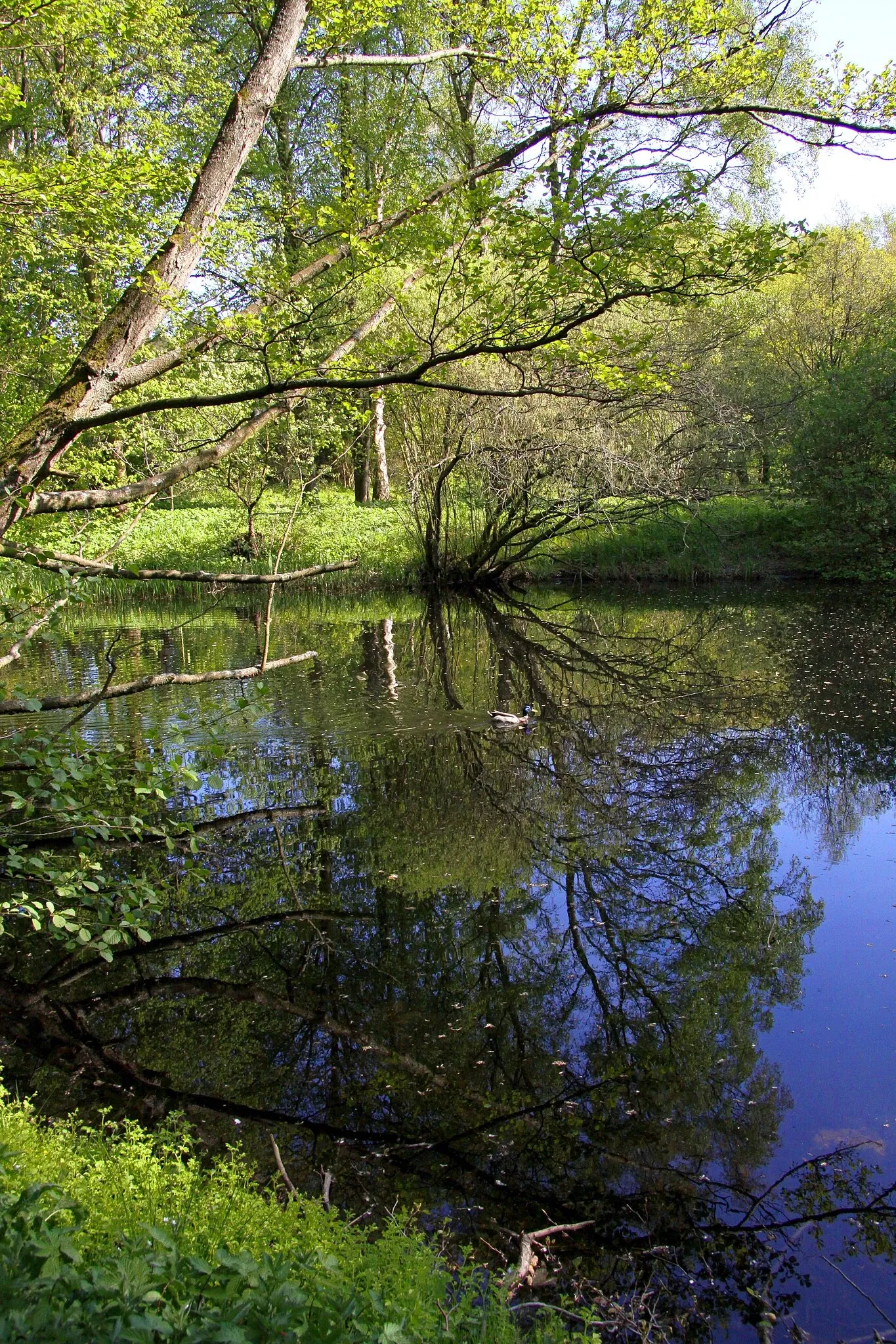 Fredriksdal - Museer och trädgårdar