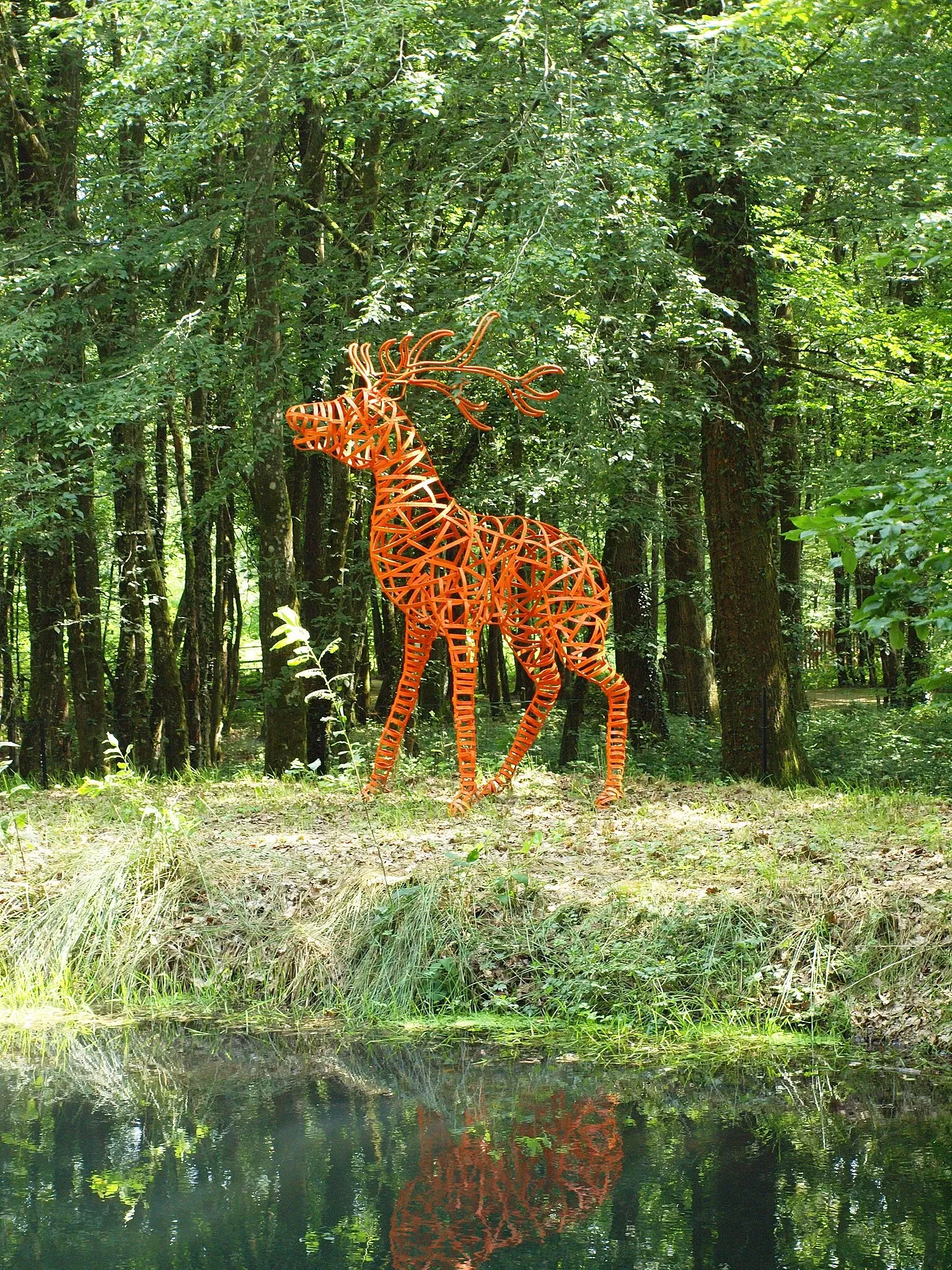 Forest Museum Renwez